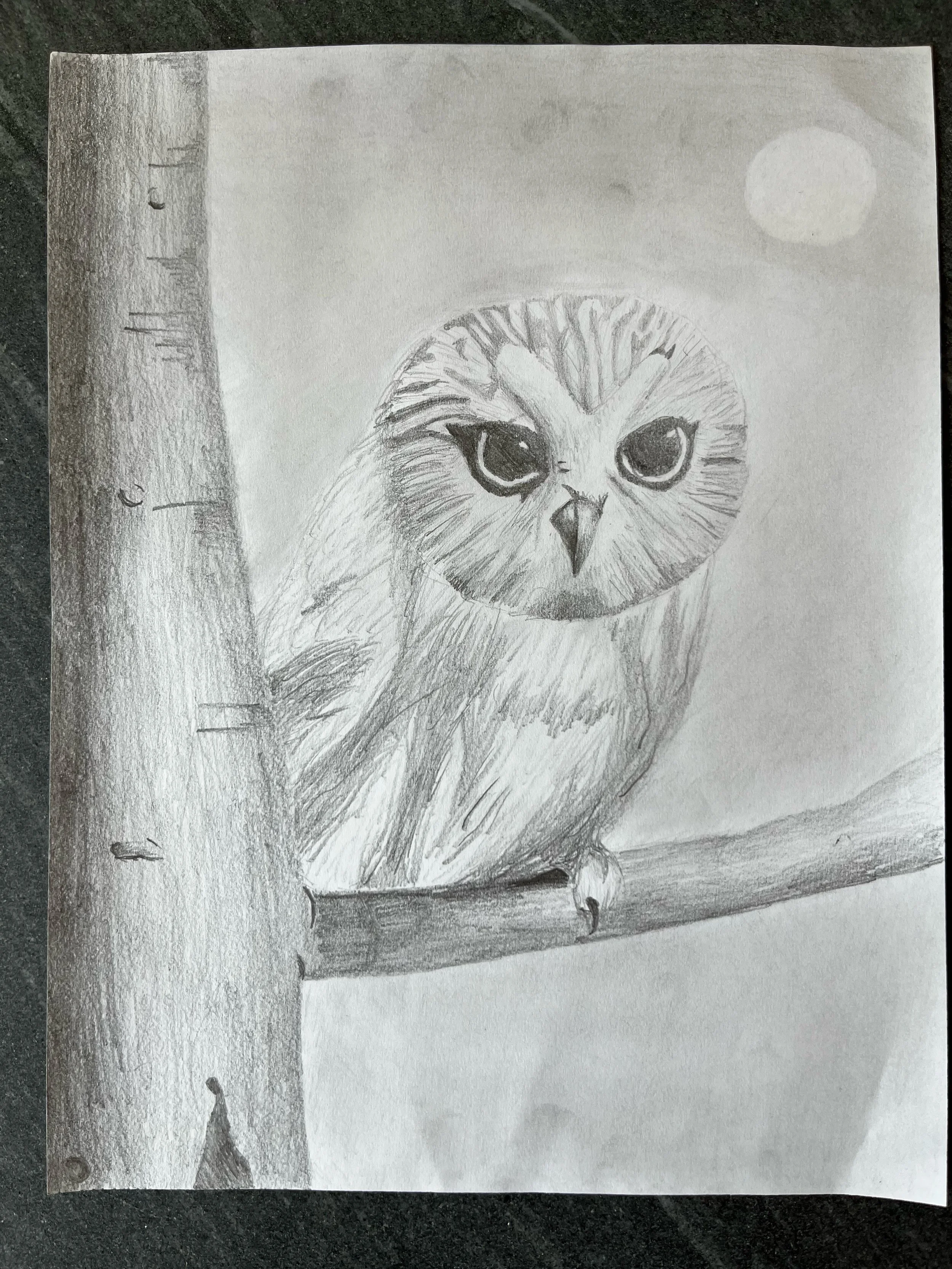Owl