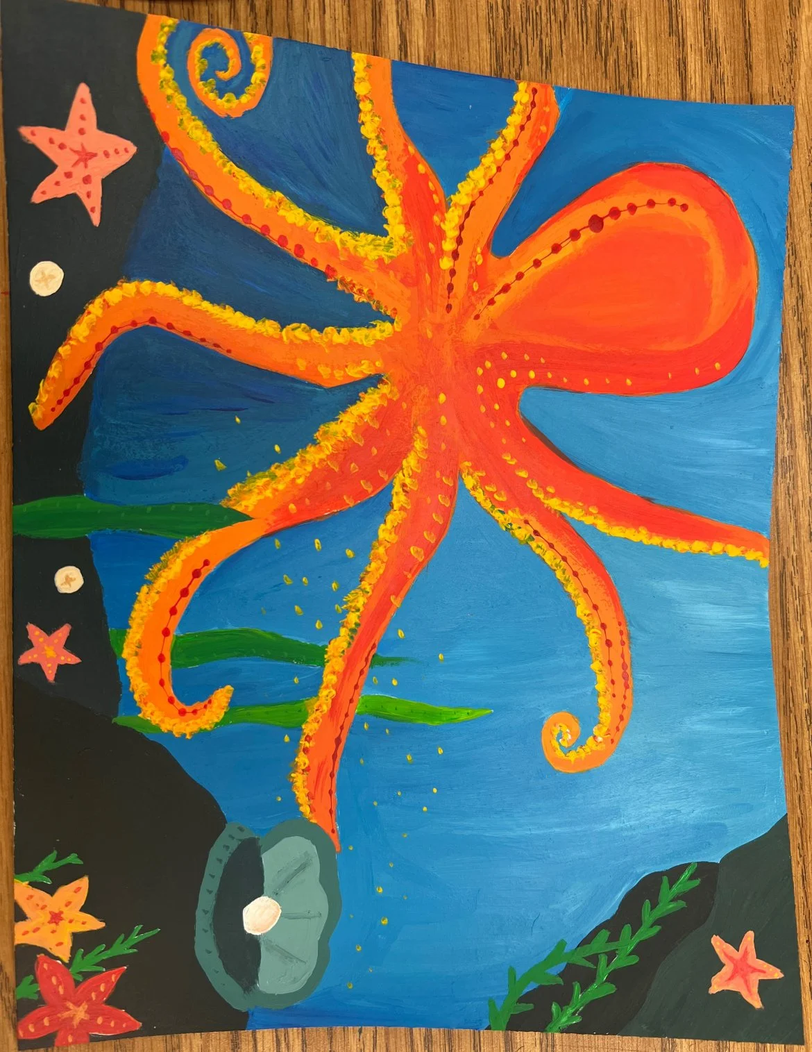 Octopus
