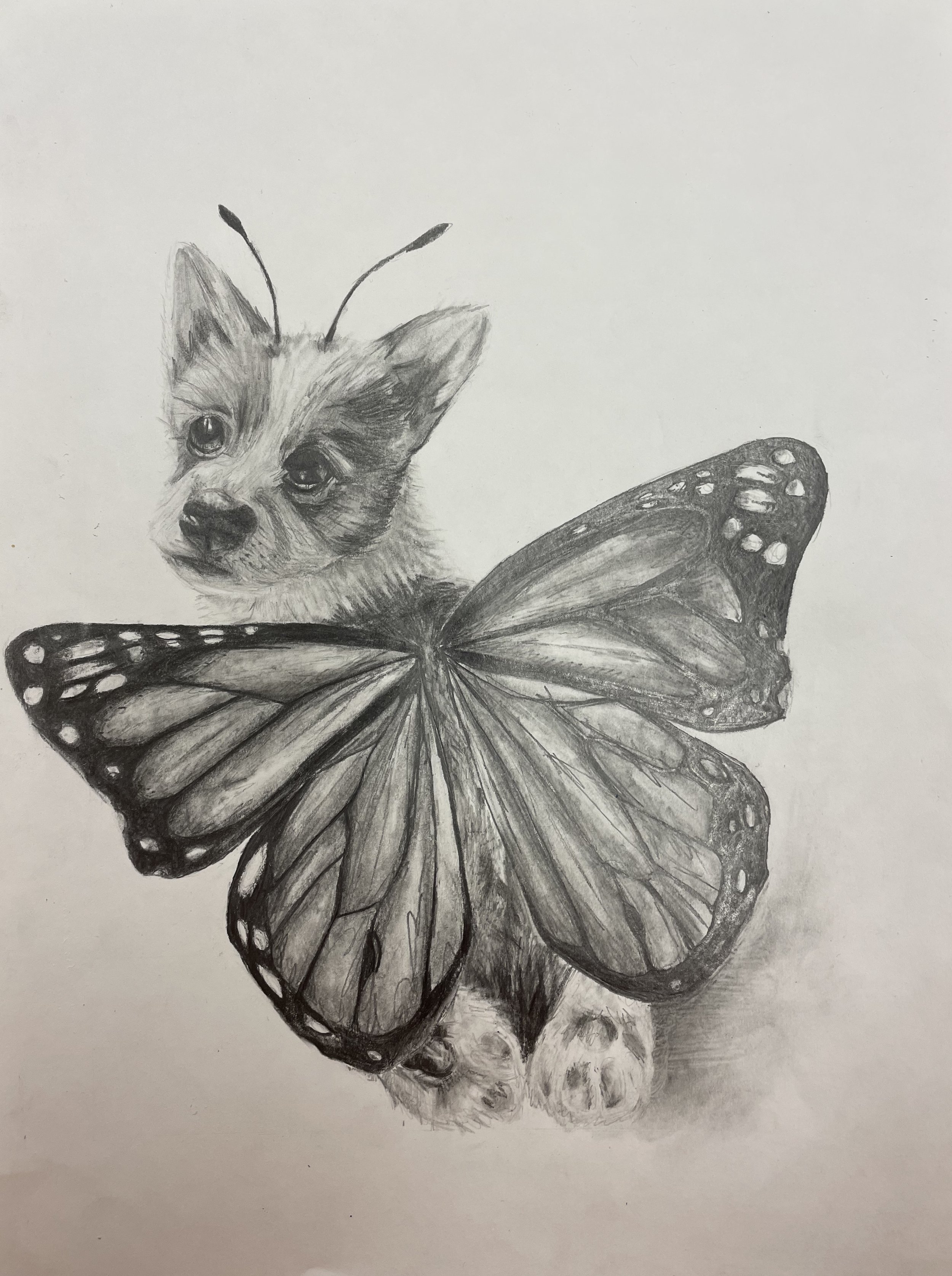 Animal Morph