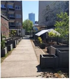 Rainwater, here we come!