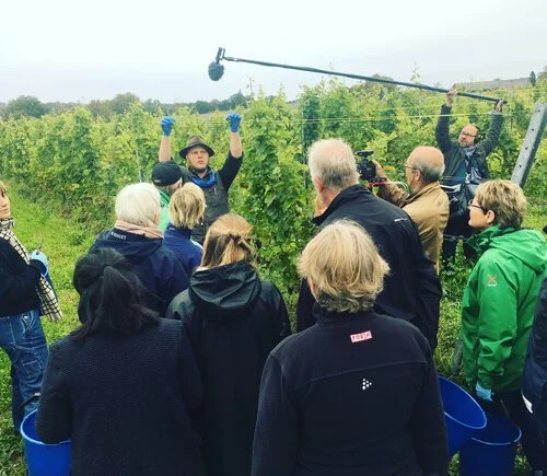 Fransk TV på besök