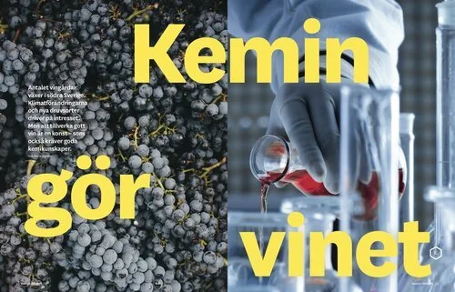 Kemisk Tidskrift har fått upp ögonen för svensk vinindustri