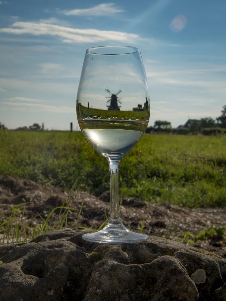 Svenska viner på H55 Helsingborg