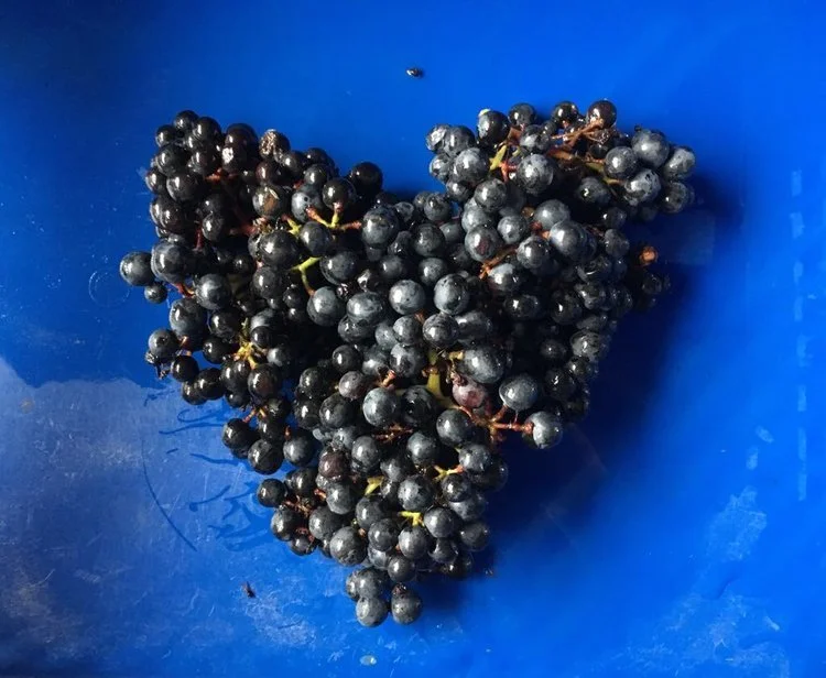 2017 - Året i bilder