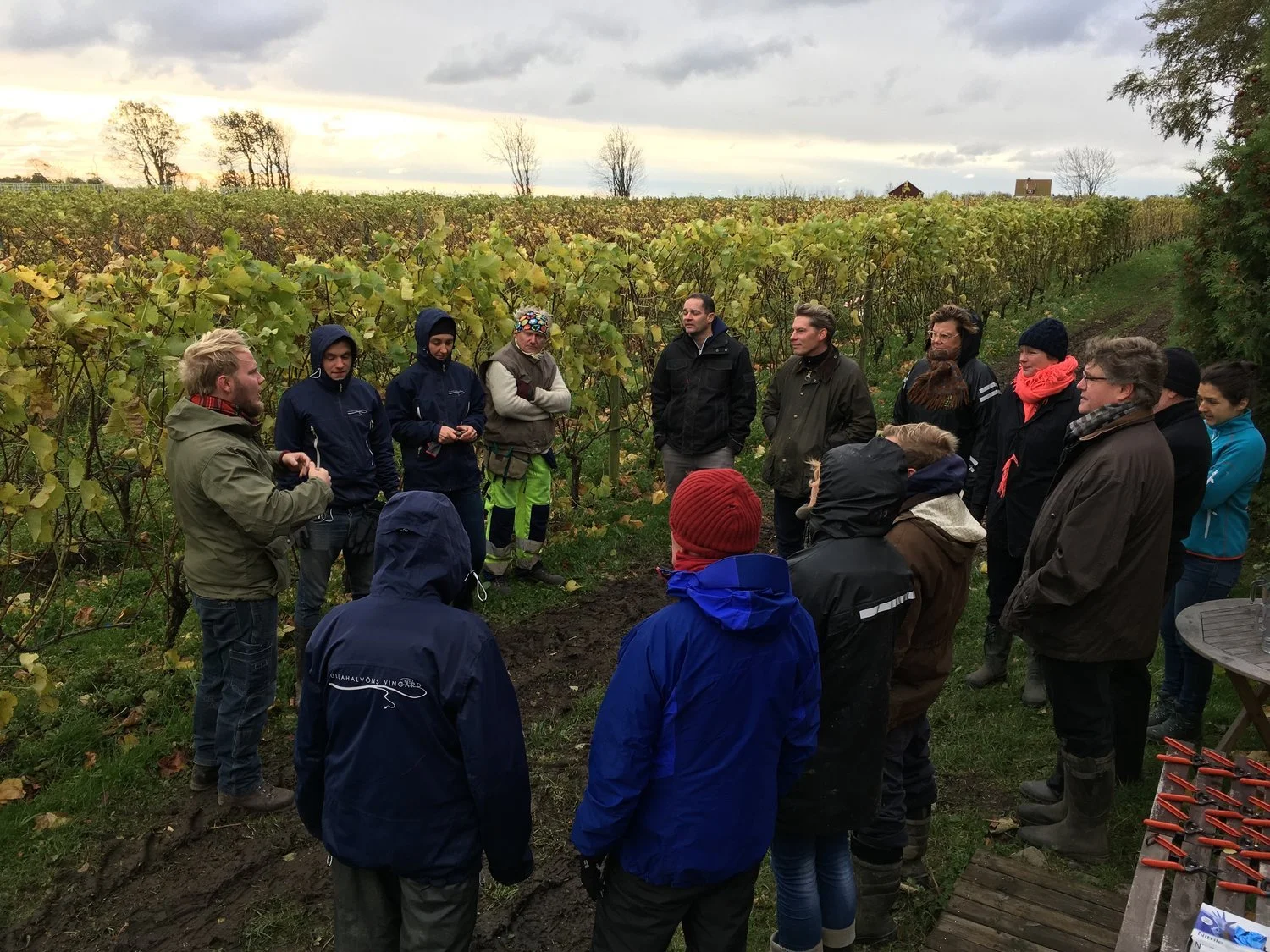 Skörden 2017 är inne i vinkällaren