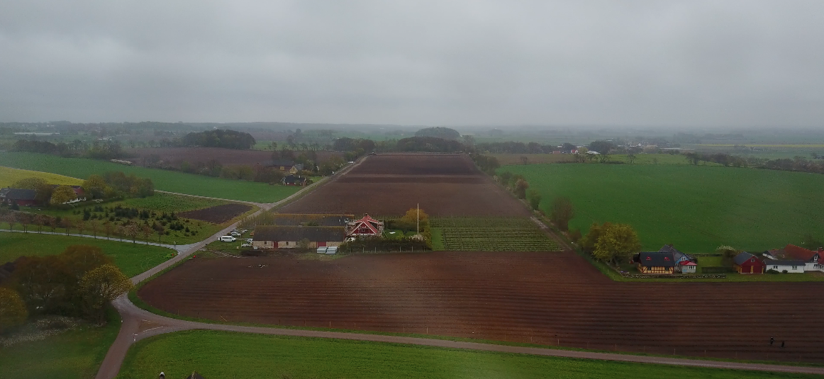 Nyplantering 2017 avklarad, drygt 22.000 plantor i jorden