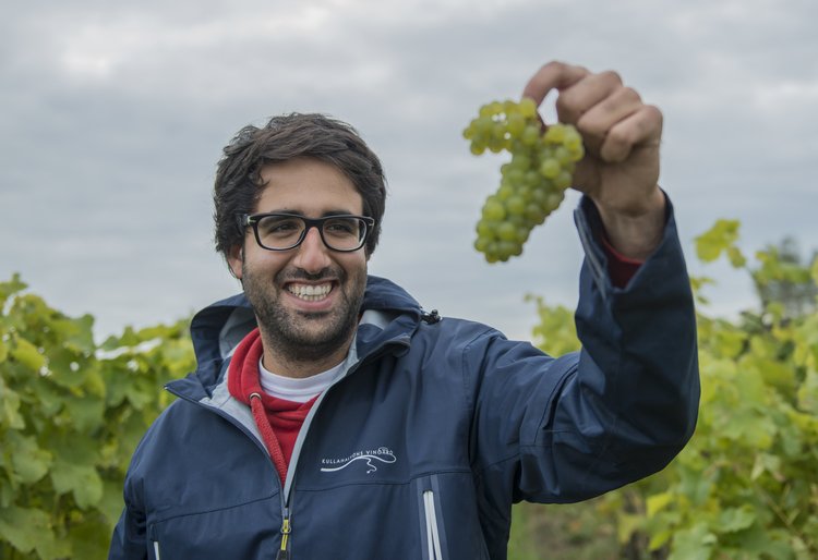 Vår praktikant från Bordeaux berättar