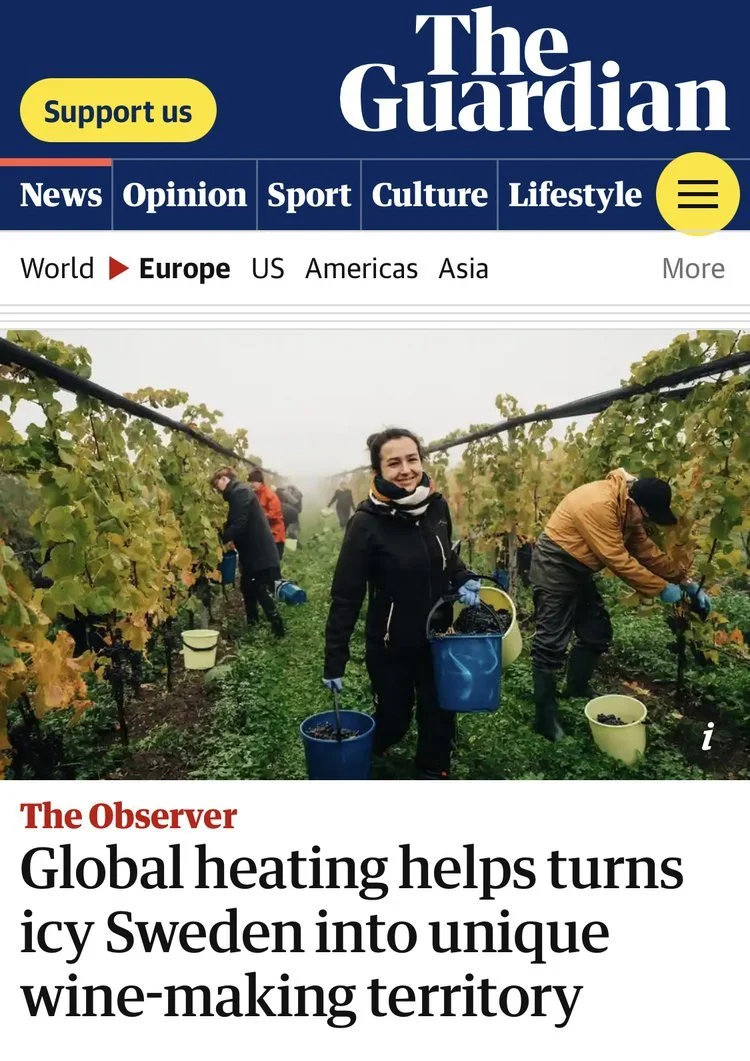 Swedish Wine in The Guardian