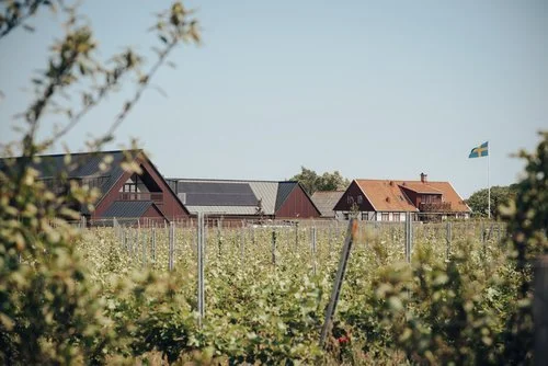 Kullabergsvingard_88+fotograf+Li+Fernstedt.jpg