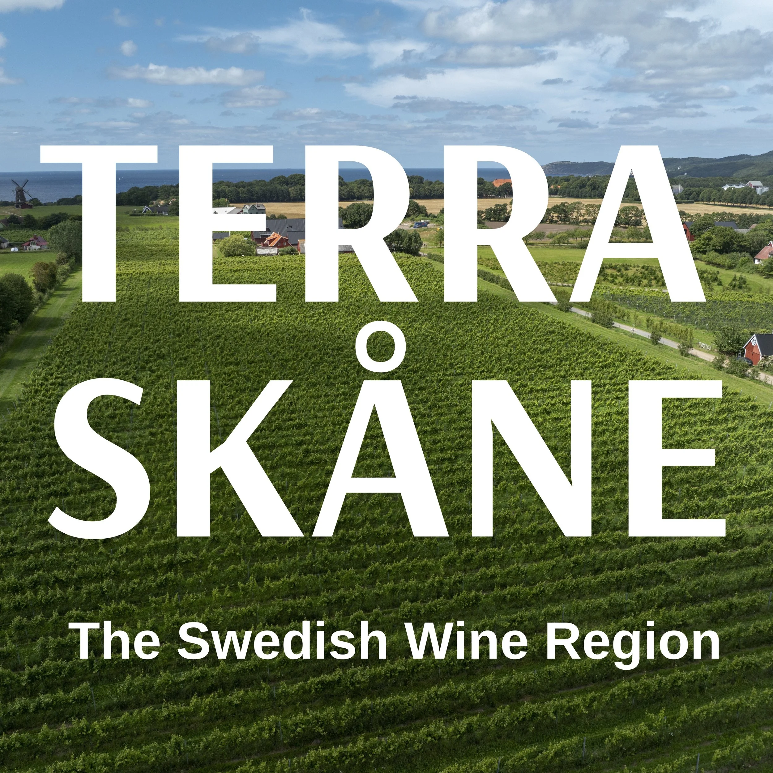terra skåne – the swedish wine region