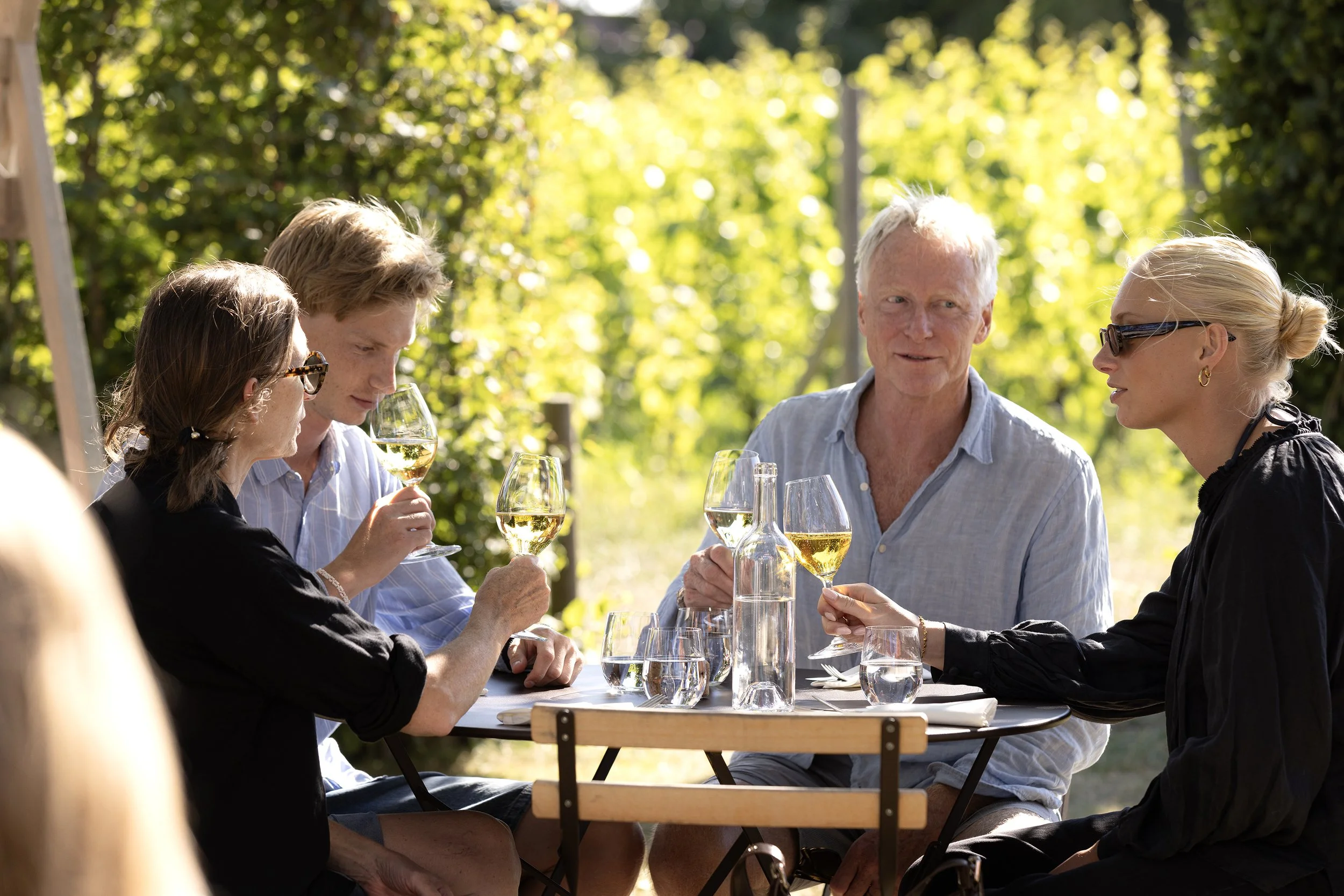 From City Buzz to Vineyard Bliss