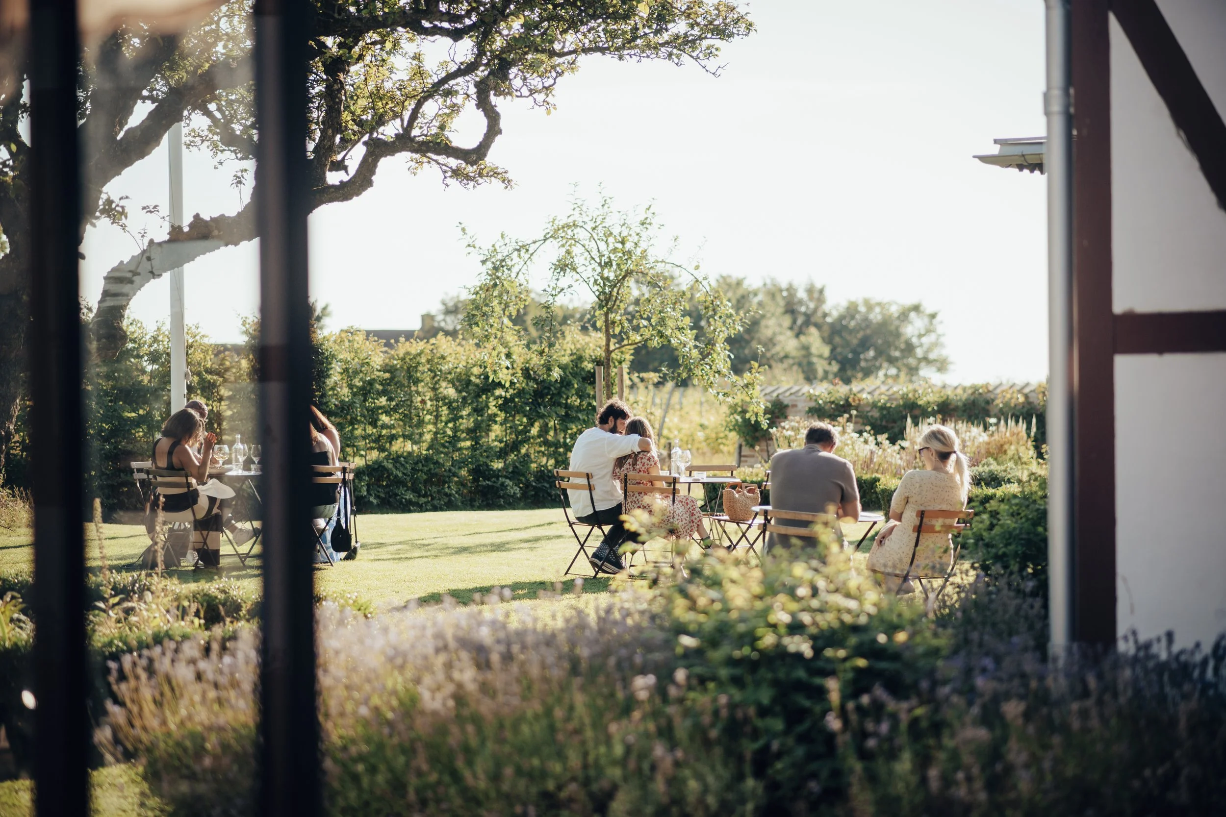 Visit us — Kullabergs Vingård | Swedish Vineyard