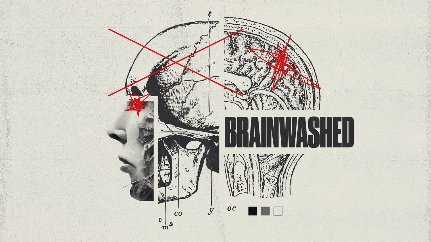 BrainwashedBrainwashed---Concept-1.png