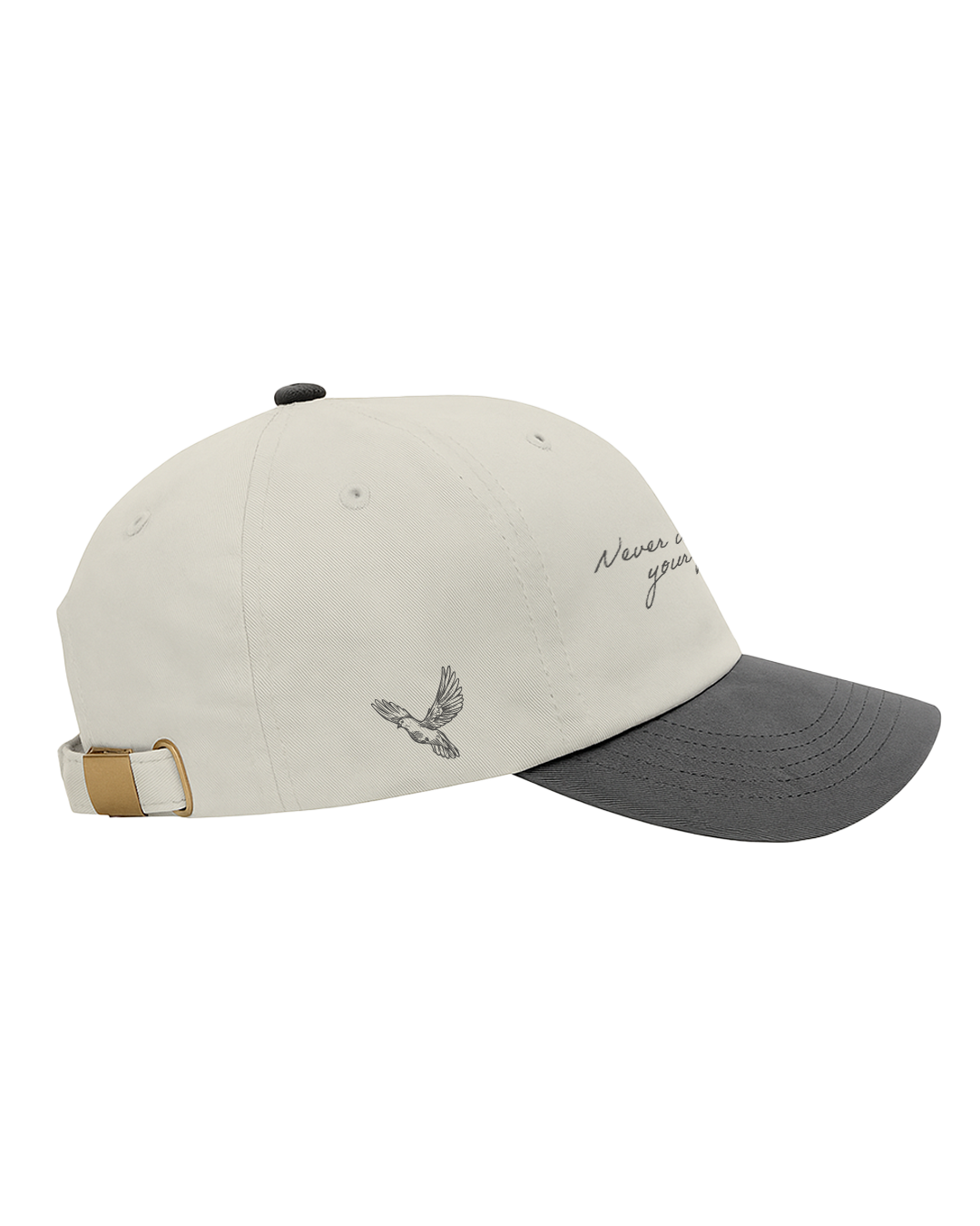 Mock-upsDad-Hat-Back_1.png