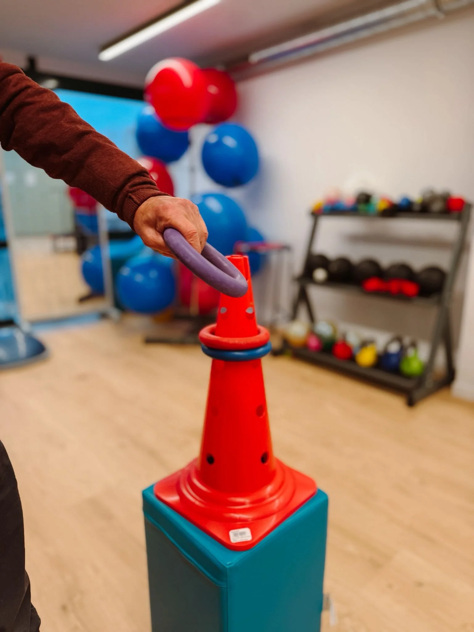 WhatsApp Image 2026-01-31 at 12.40.04 14.jpeg