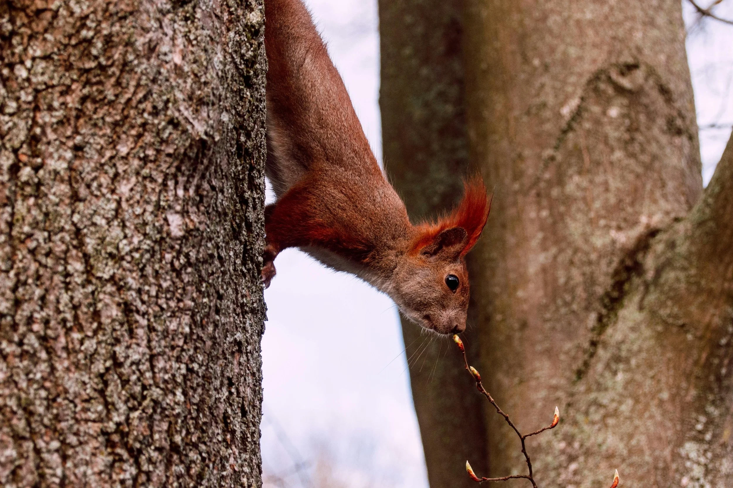 Afbeelding blogpost 23.03.2026 (5).jpg