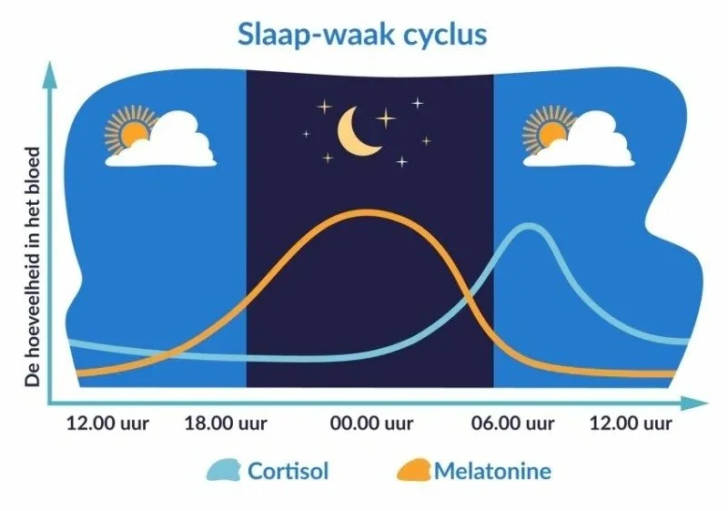 slaap-waak cyclus