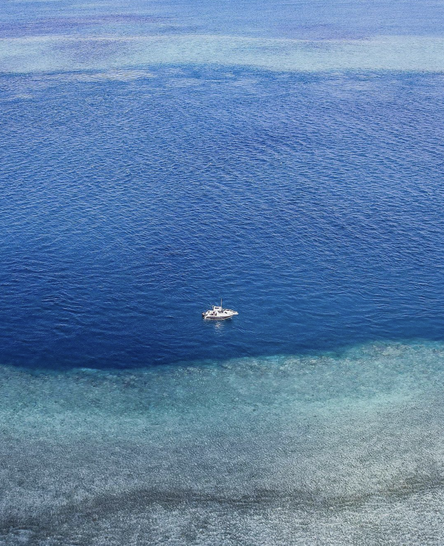 Screenshot 2024-09-10 at 3.25.35 pm.png