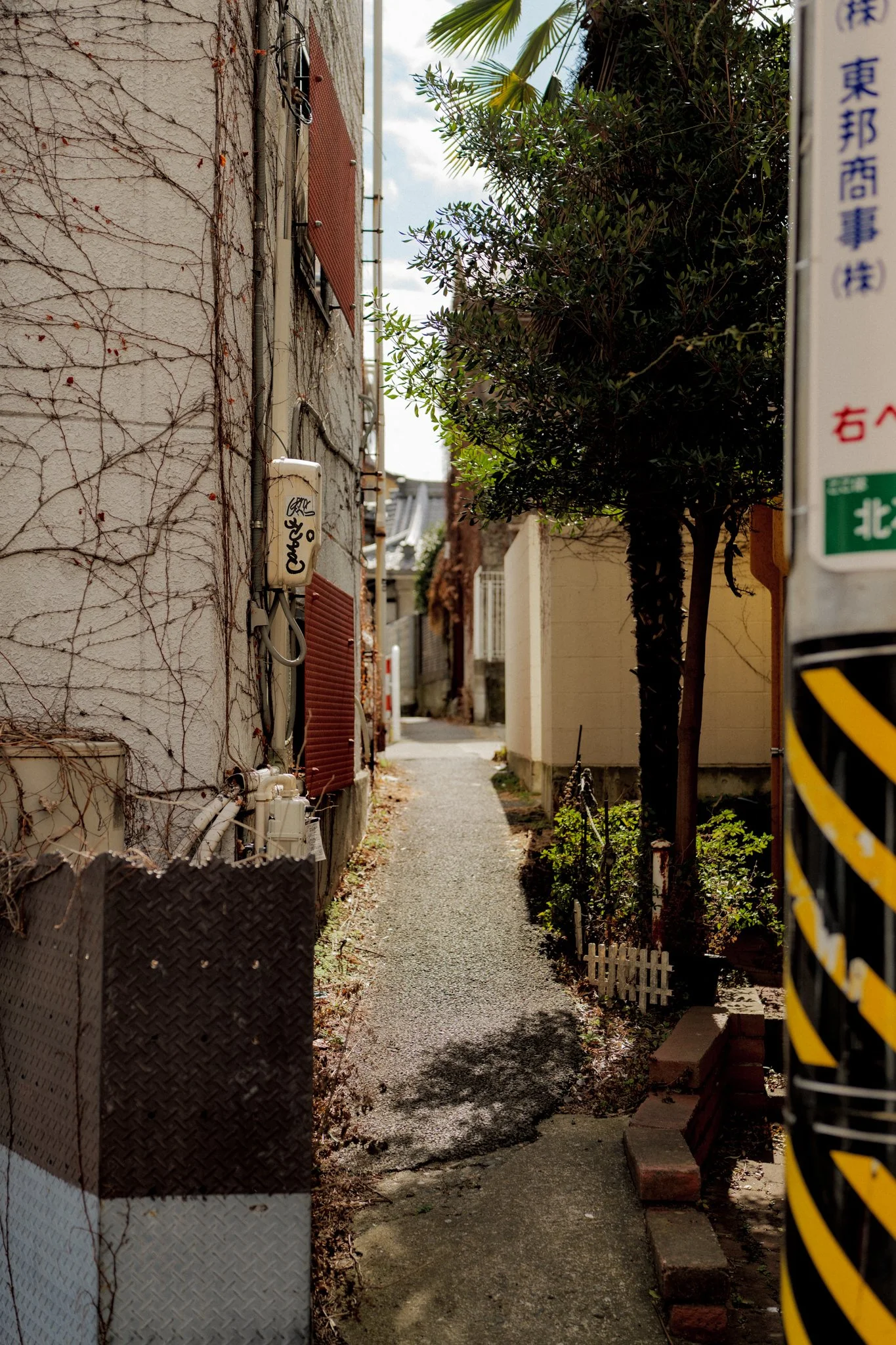 P1484845.jpg