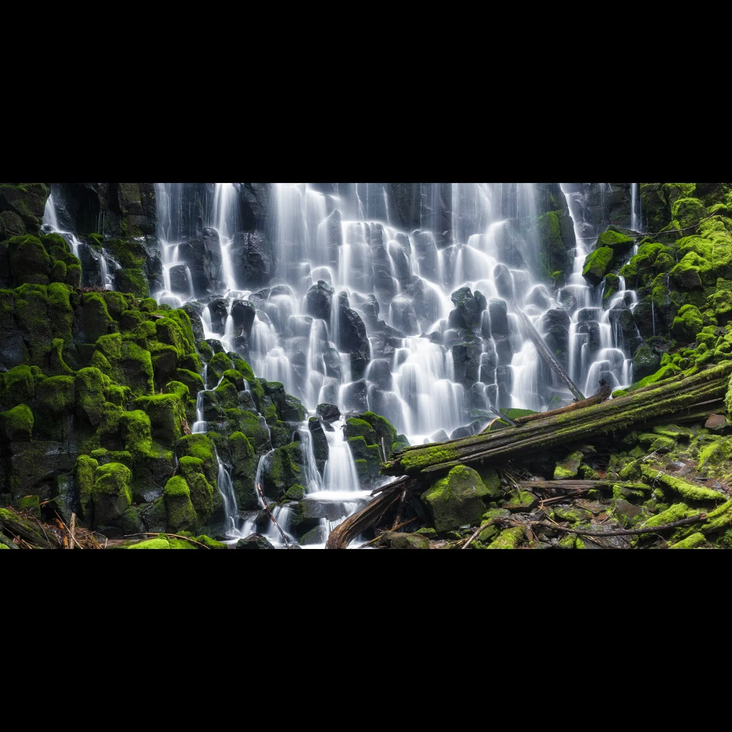 Forest Cascades.jpg