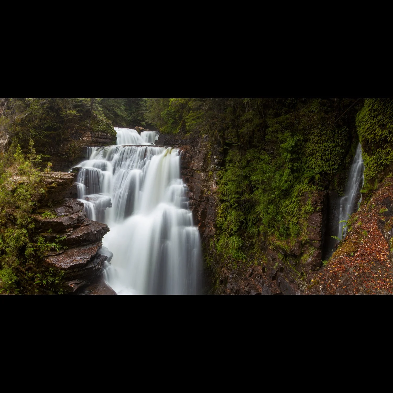 D'Alton Falls.jpg