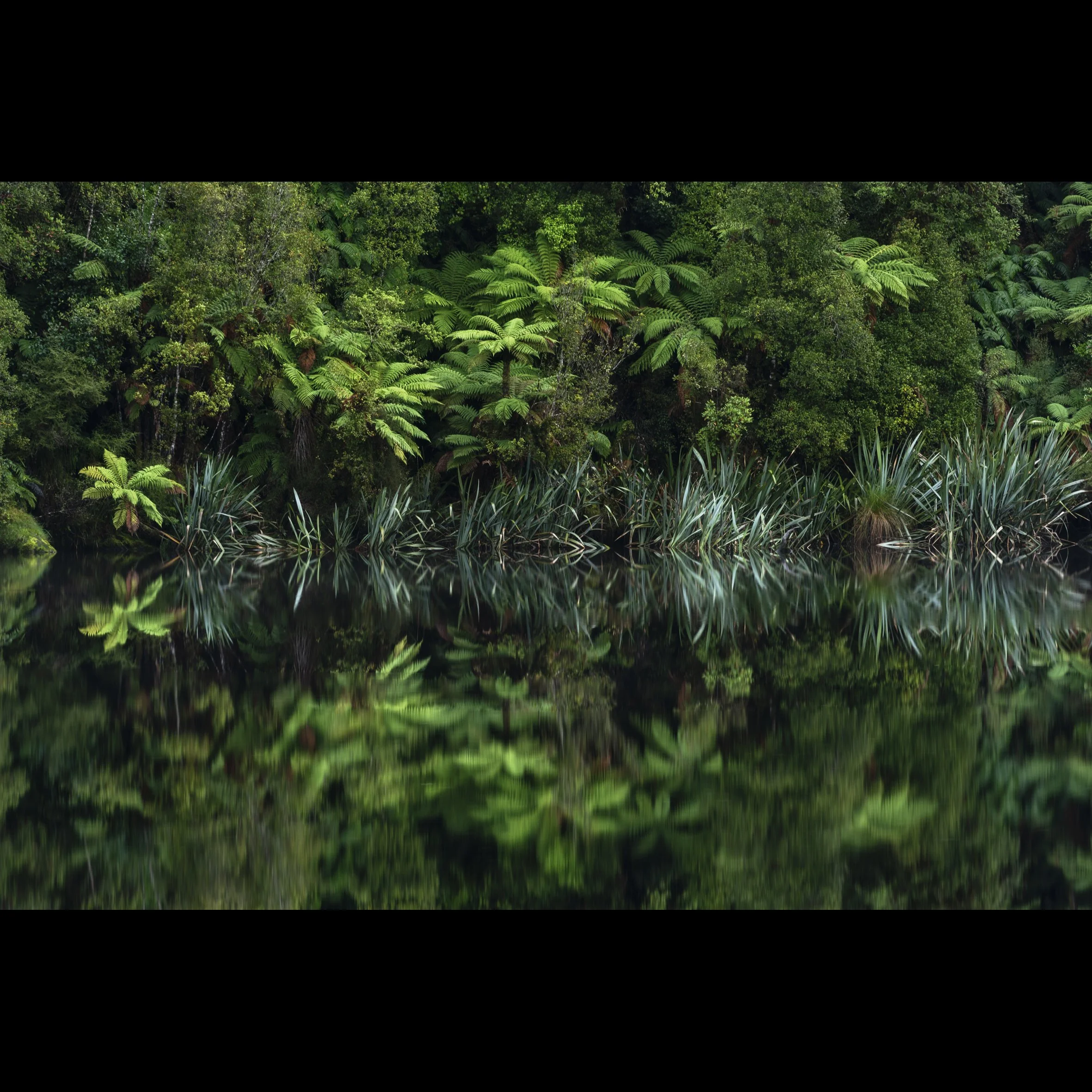 Lake Matheson Reflection