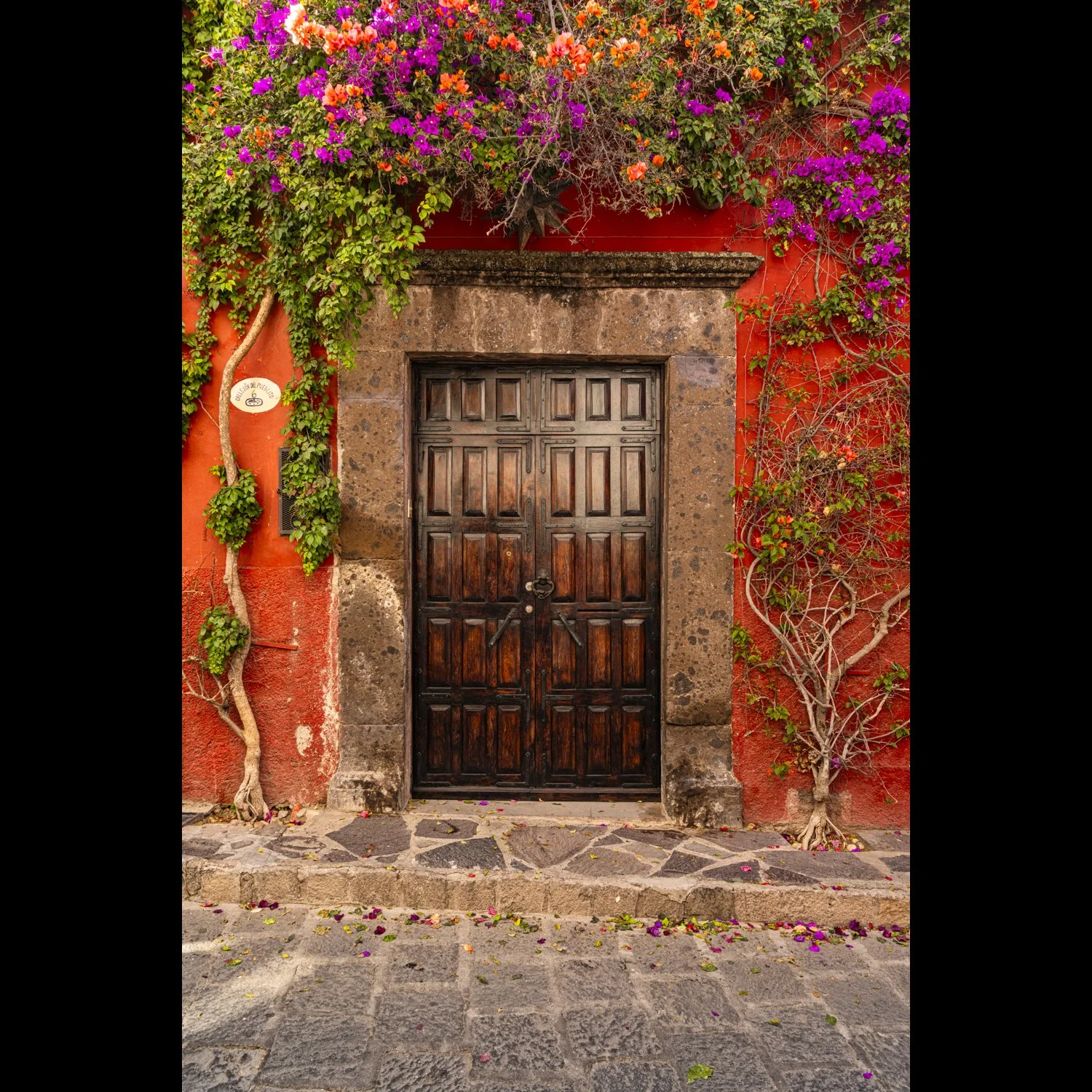 San Miguel Door.jpg