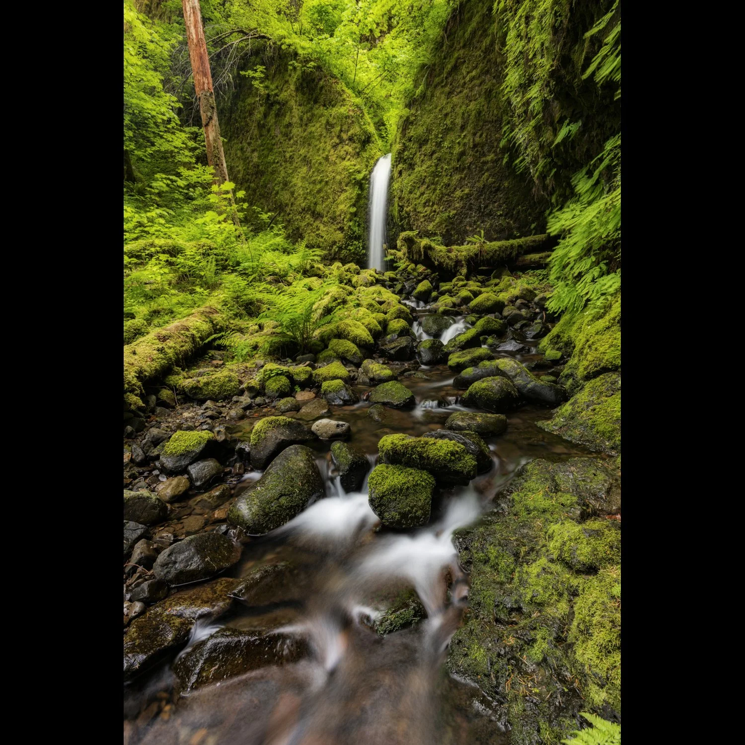 Mossy Grotto Falls.jpg