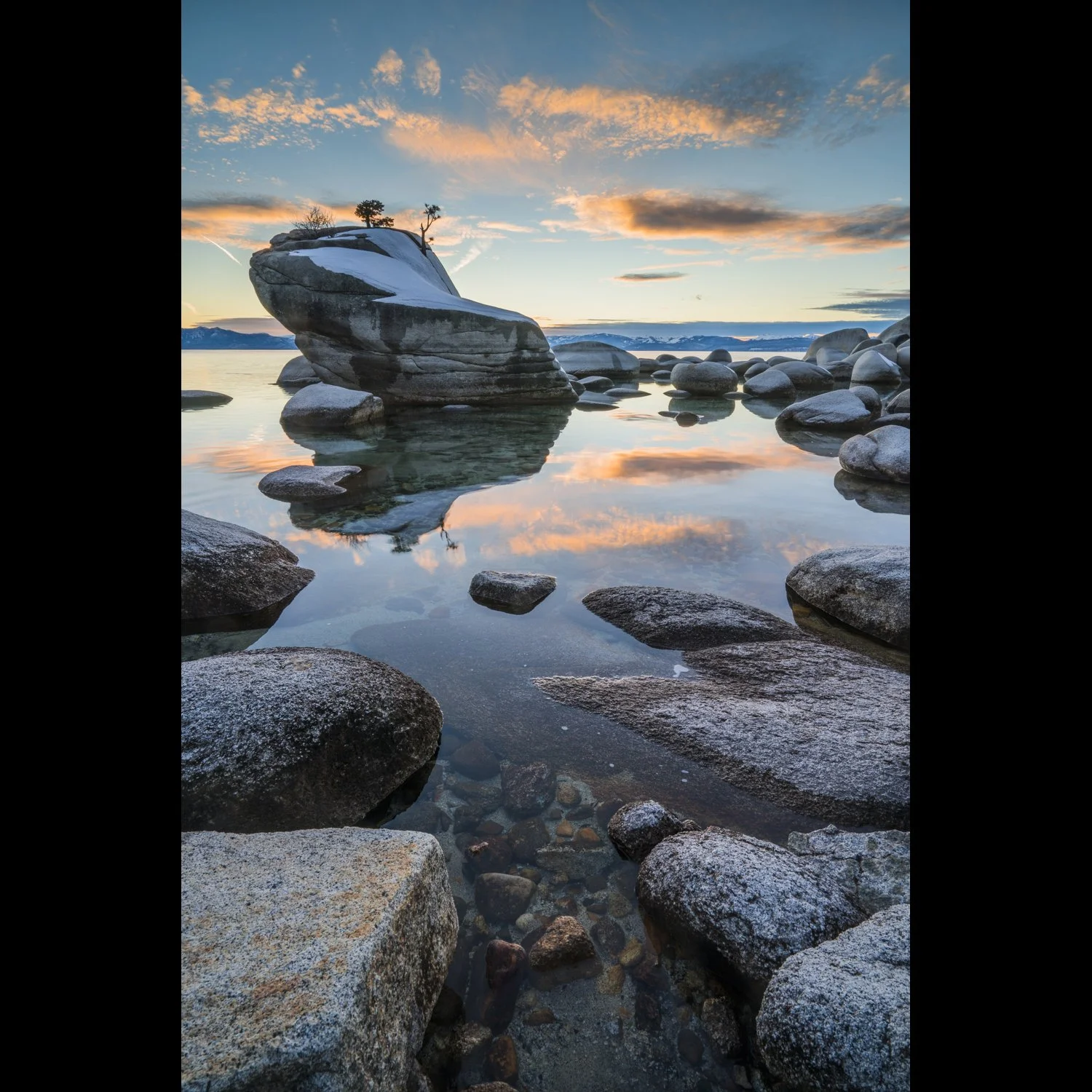 bonsai rock winter 3-2.jpg
