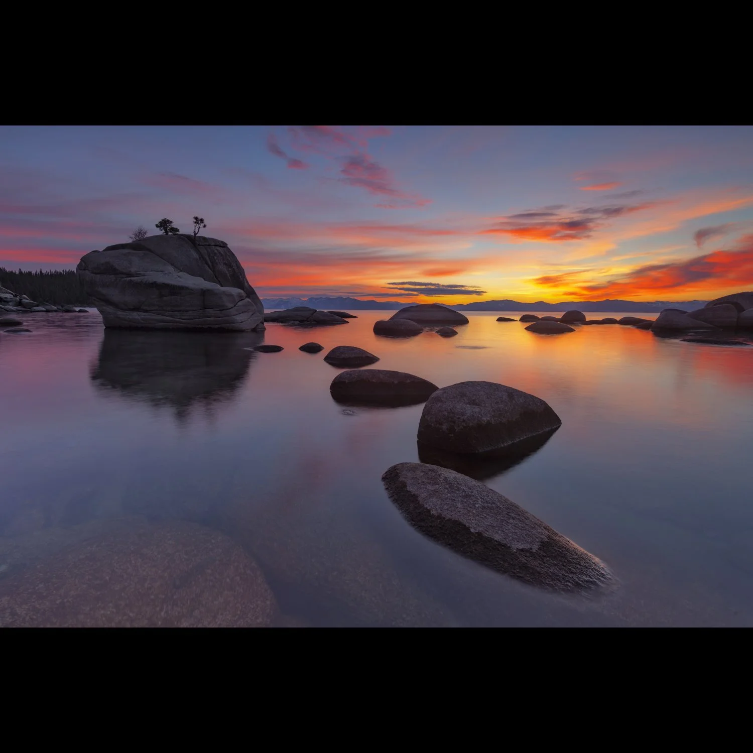 Bonsai Rock.jpg