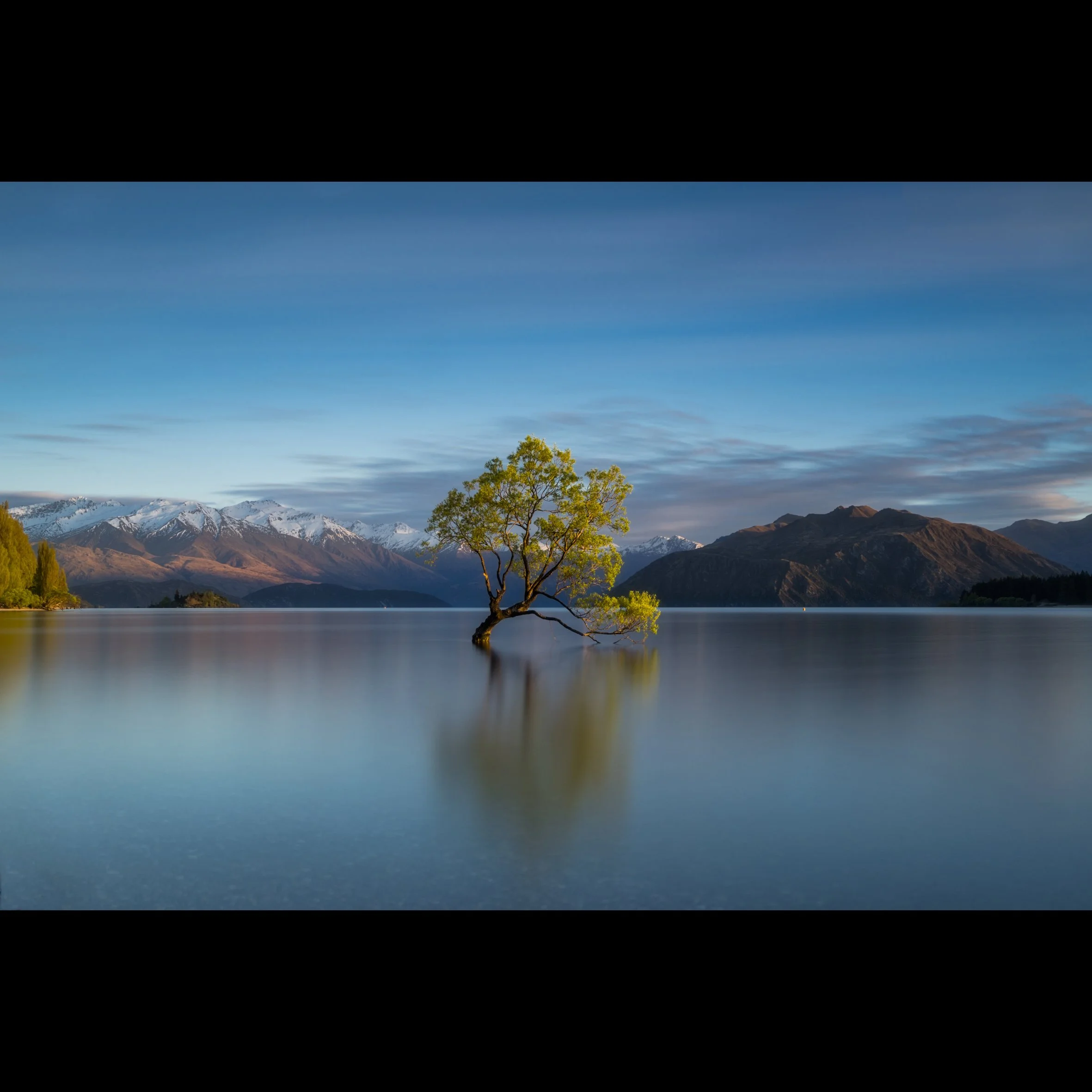 Wanaka Spring