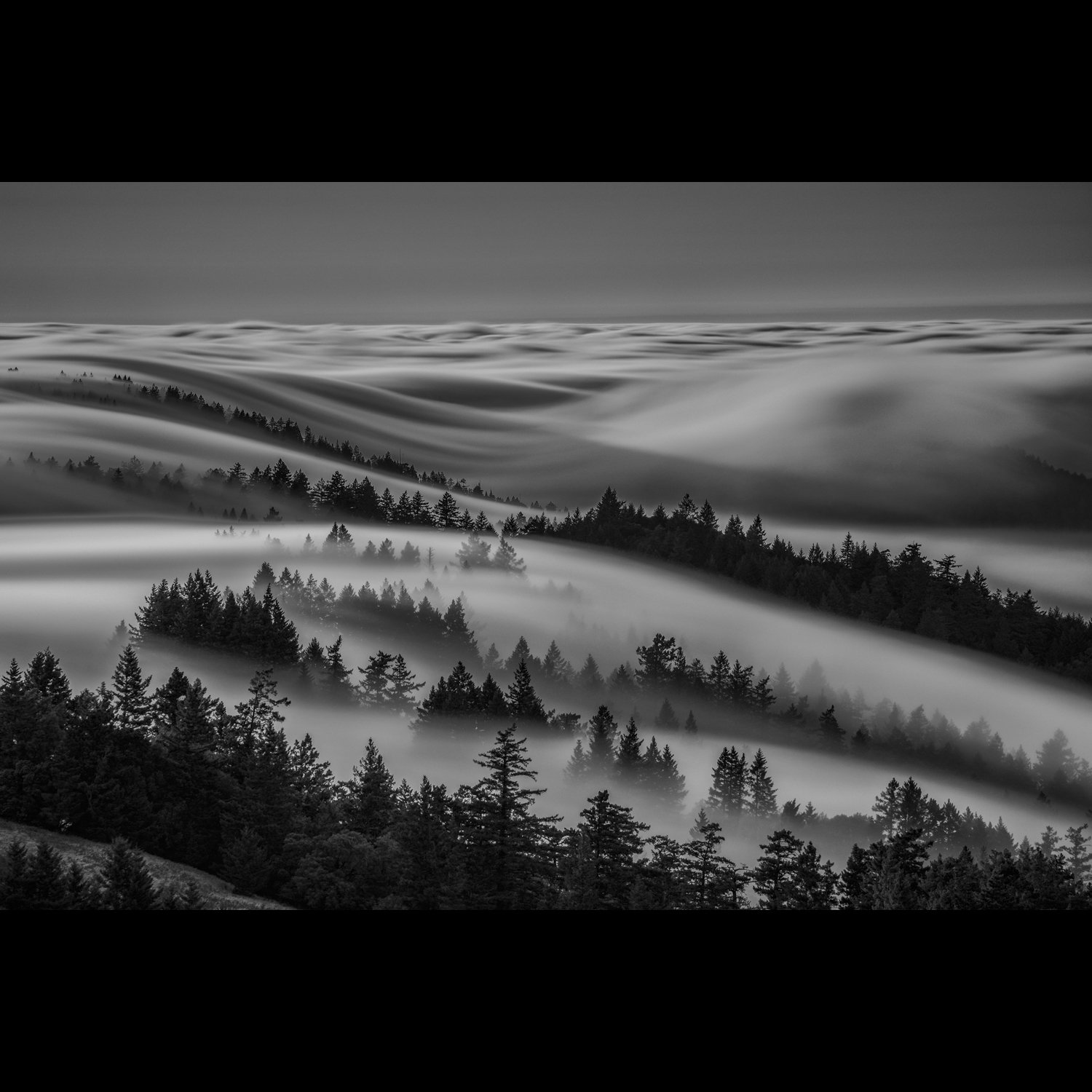 mt tam fog 3-2.jpg