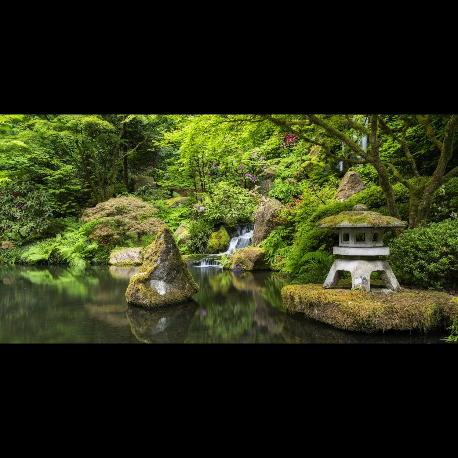 Tranquility.jpg