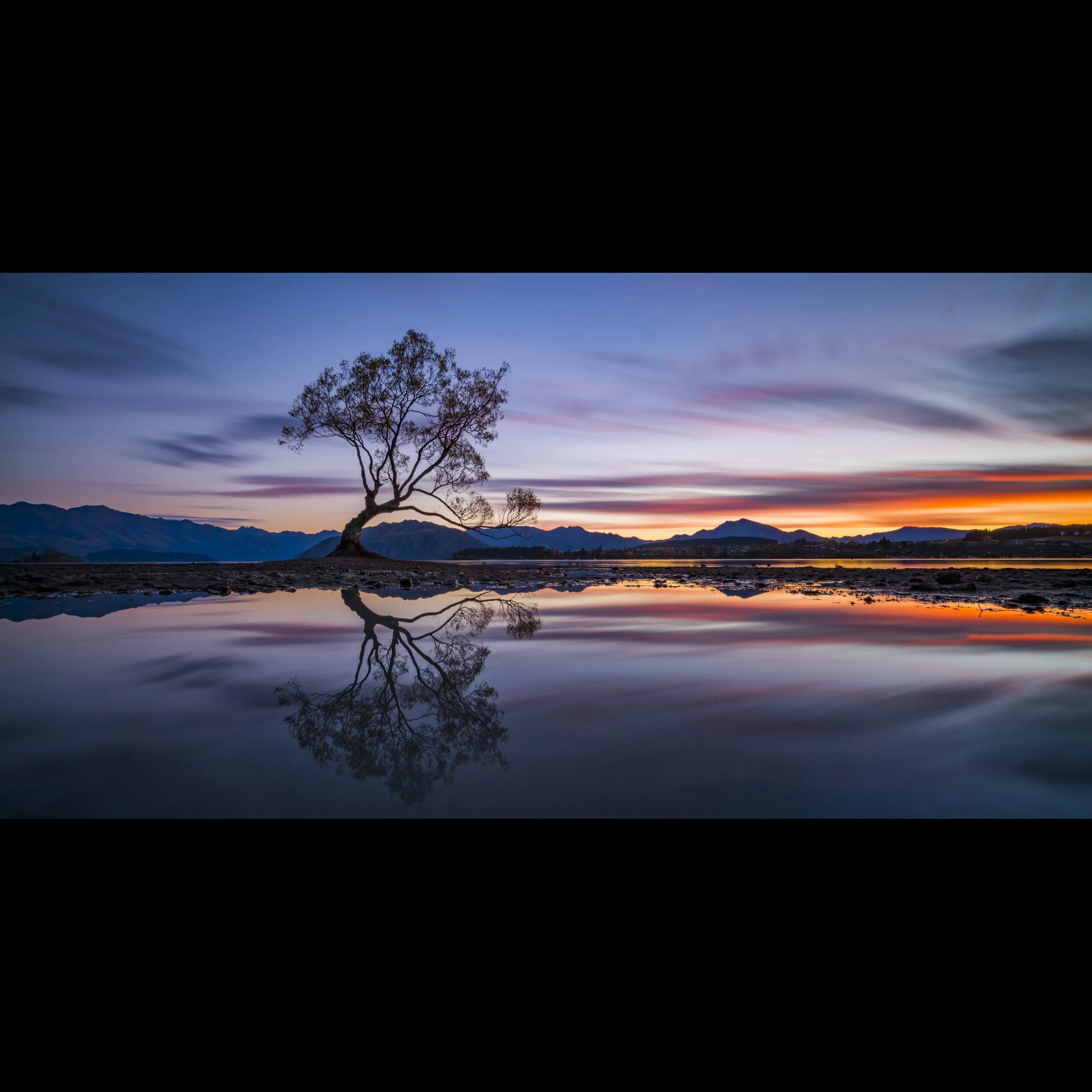 Wanaka Reflections