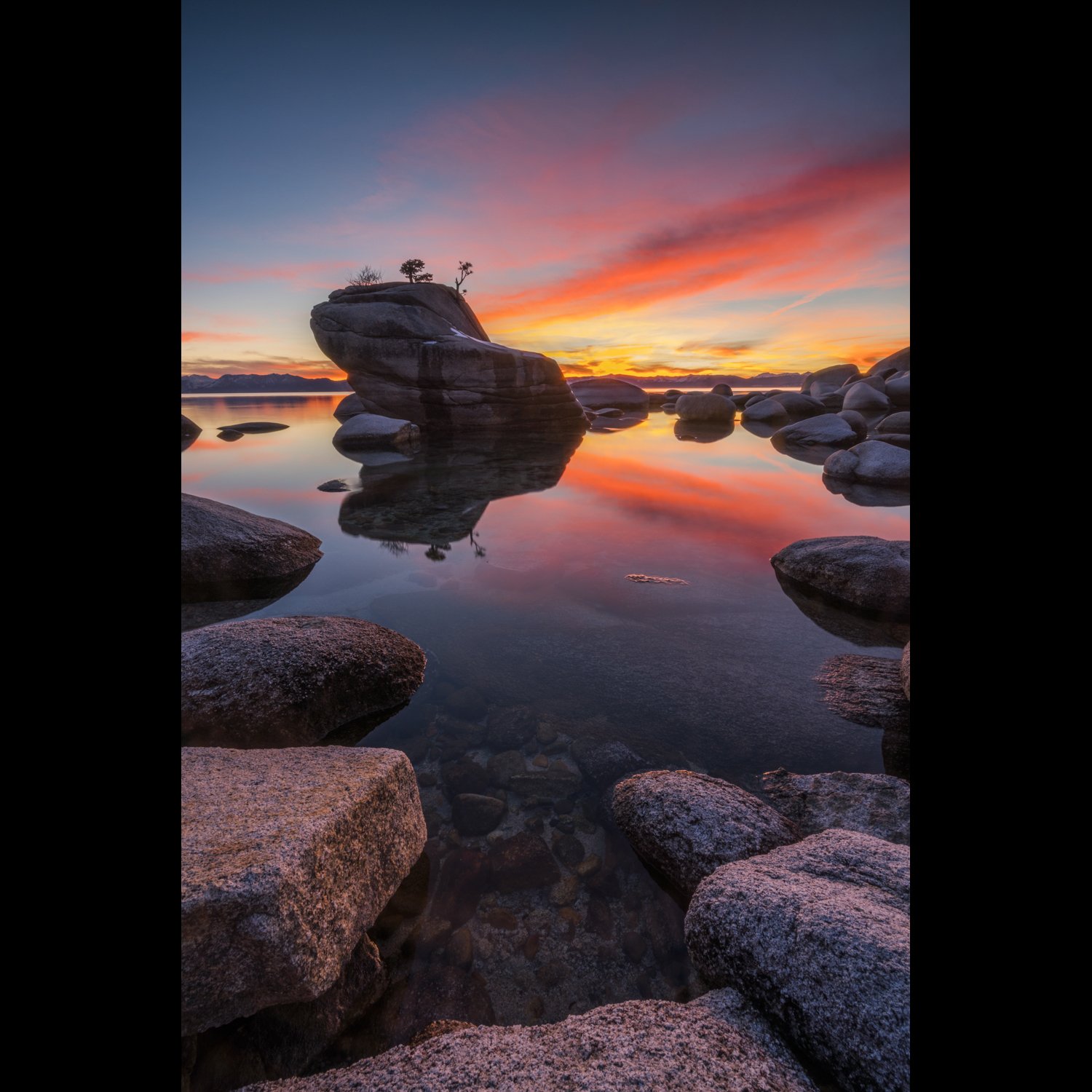 Bonsai Rock Sunset portrait.jpg