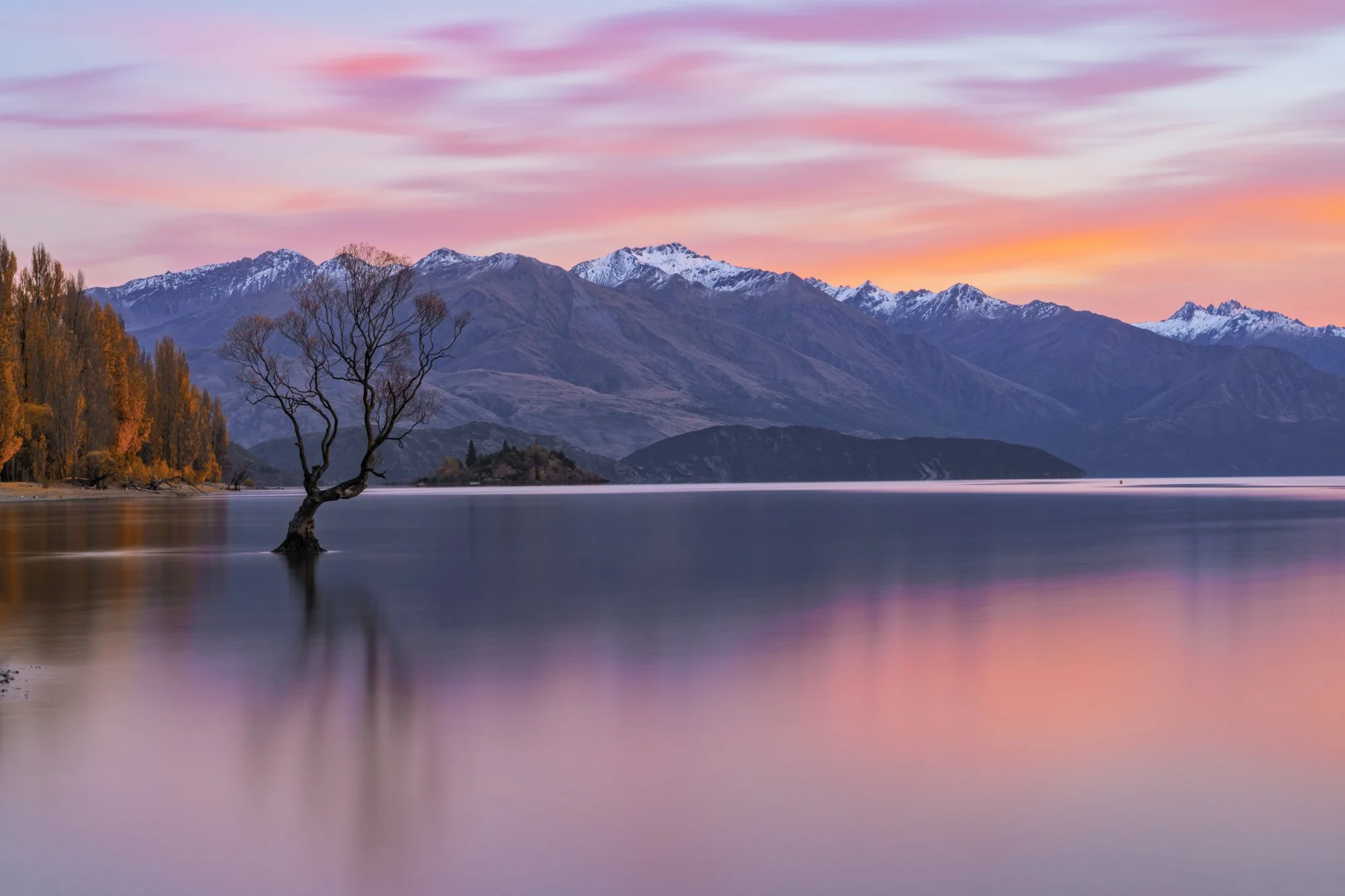 Wanaka Autumn 2026 2.jpg
