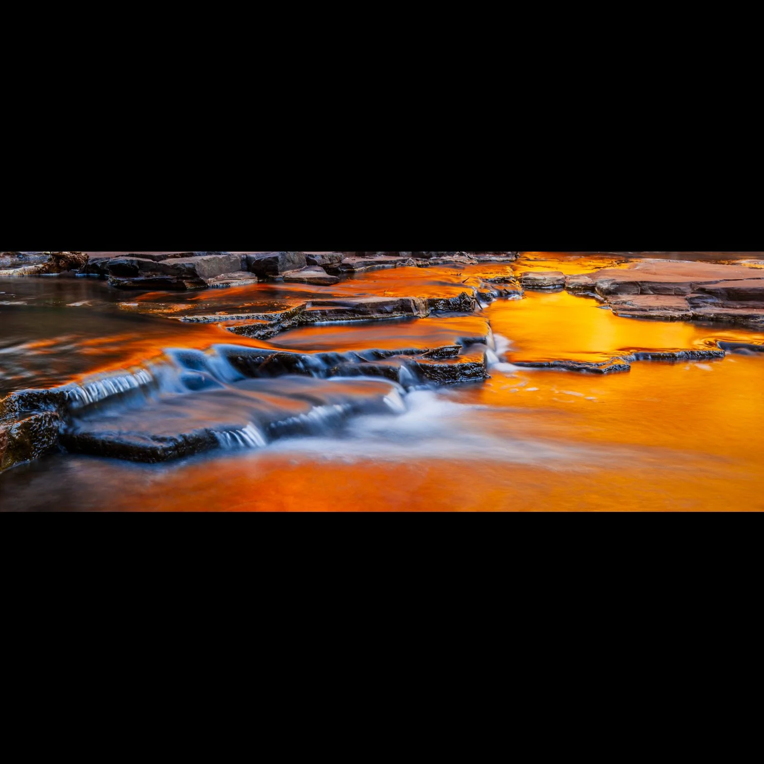 Golden Reflection.jpg