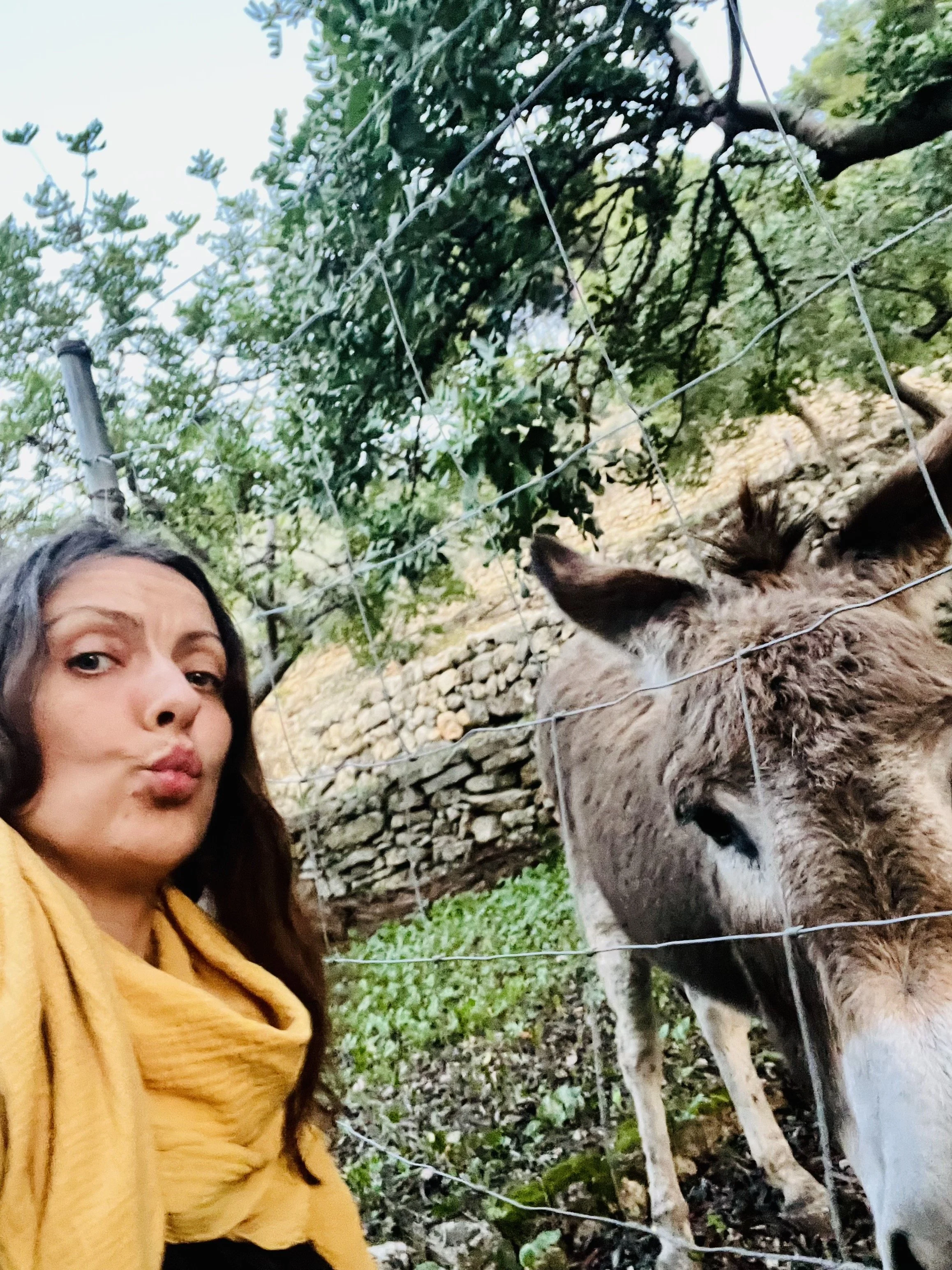 yoga teacher Lily Sielaff in front of a donkey in a rural outdoor setting with trees and stone walls. Discover her yoga classes, retreats, and private sessions in Sóller, Deià, Port de Sóller, Mallorca Spain. May all beings be happy and free. animals