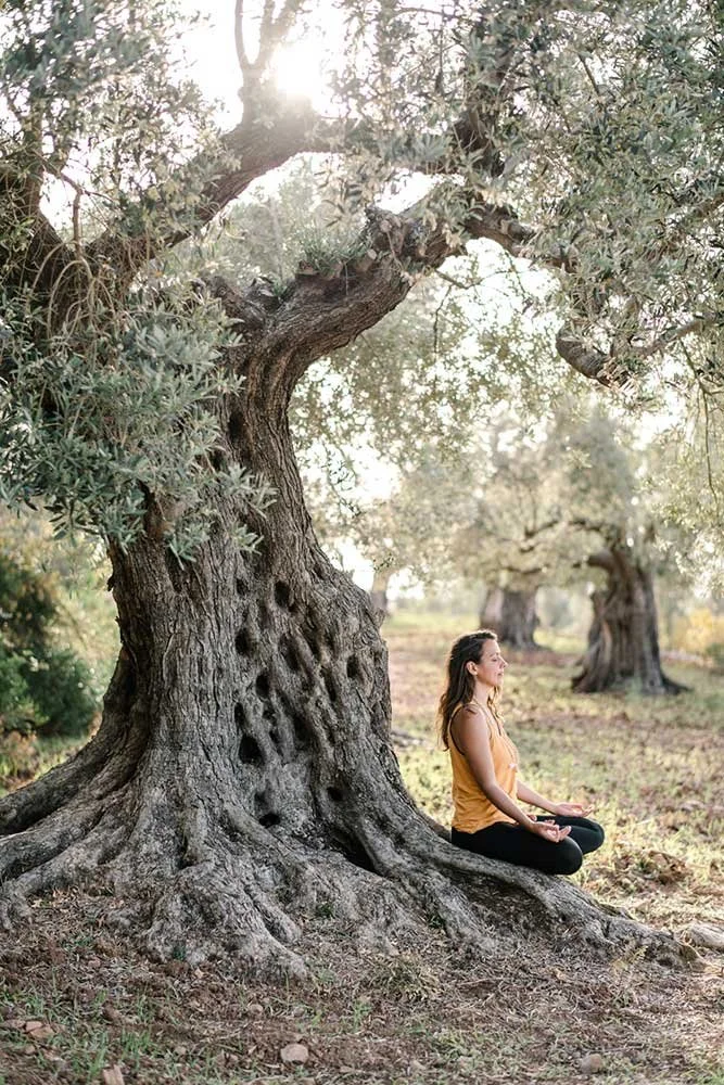Yoga Retreat on Mallorca with lily from jivamukti yoga mallorca meditate meditation in nature between ancient olive trees in the forrest freedom