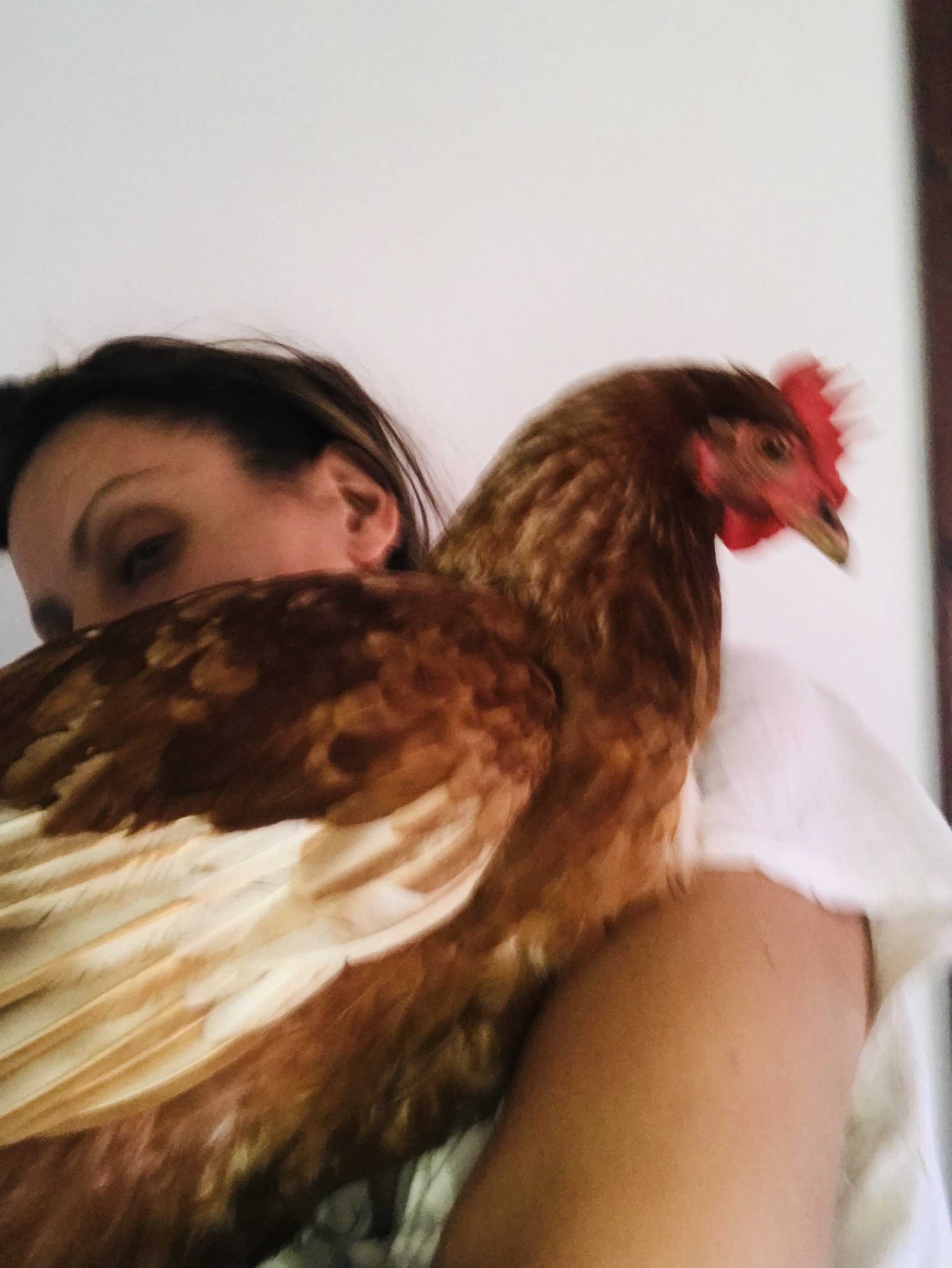 yoga teacher Lily Sielaff holding a large brown chicken close to their shoulder. Discover her yoga classes, retreats, and private sessions in Sóller, Deià, Port de Sóller, Mallorca Spain. May all beings be wild and free.