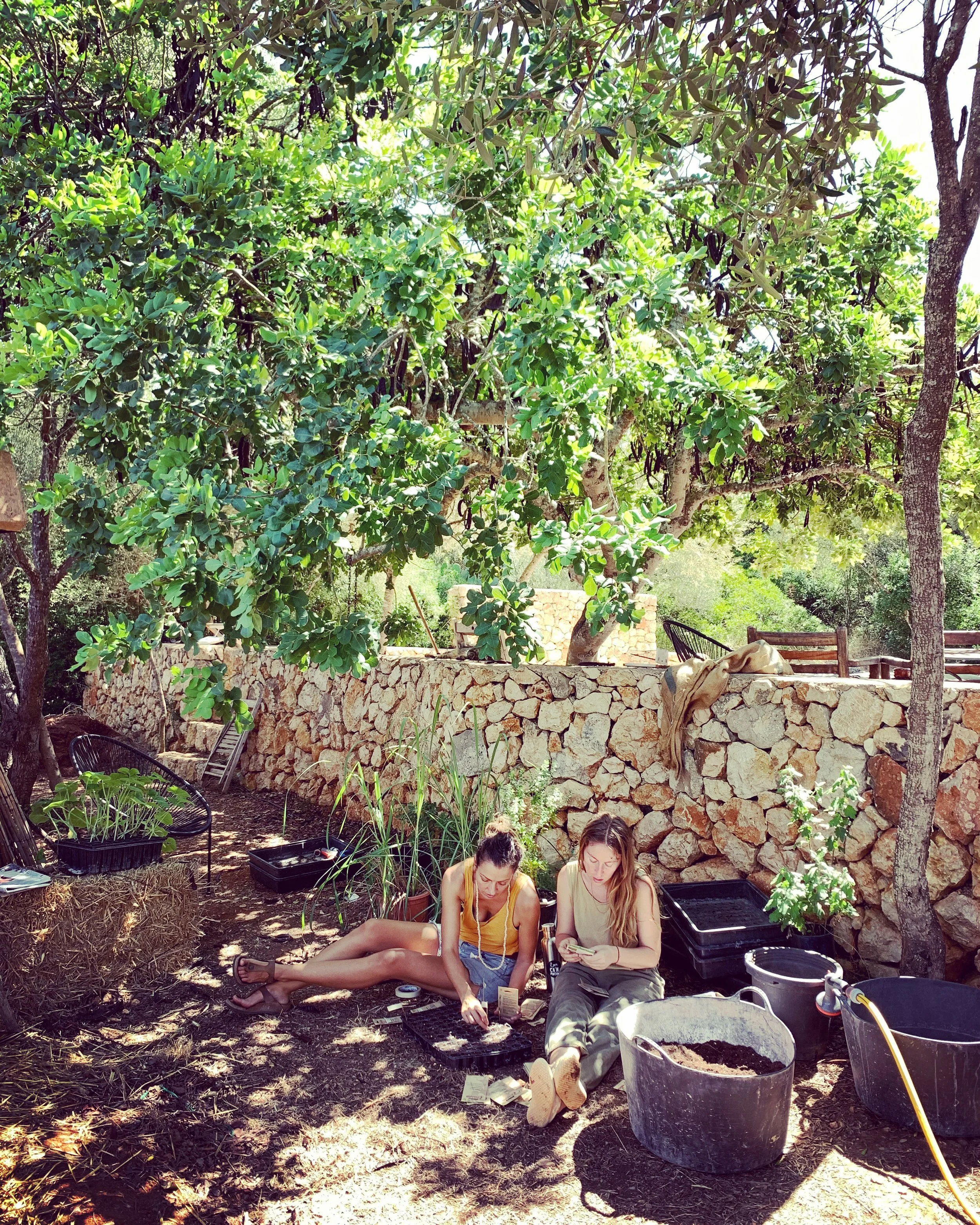 Two women sitting on the ground under a large leafy tree, engaging in gardening or planting activities with various gardening tools, containers, and soil around them. yoga teacher Lily Sielaff. Discover her yoga classes, retreats, private sessions