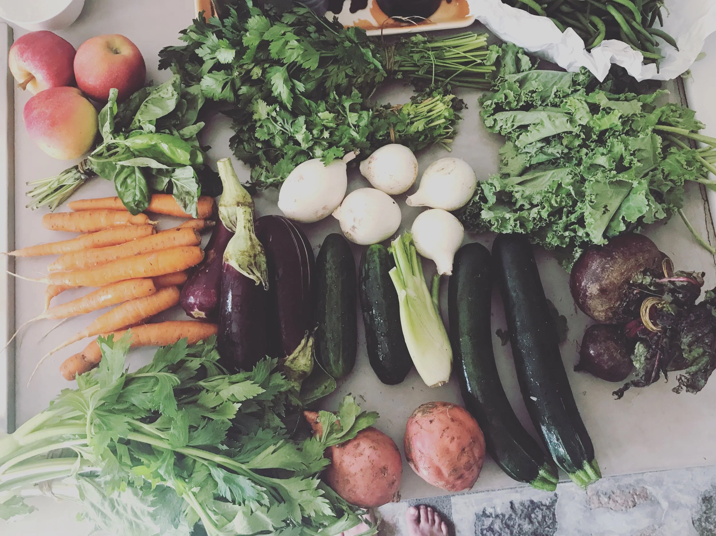 A variety of fresh vegetables and fruits including apples, carrots, eggplants, turnips, zucchinis, celery, cilantro, beets, and other greens on a flat surface. a vegetarian diet is best for yoga practicioners. Jivamukti Yoga Sóller, Deià, Mallorca