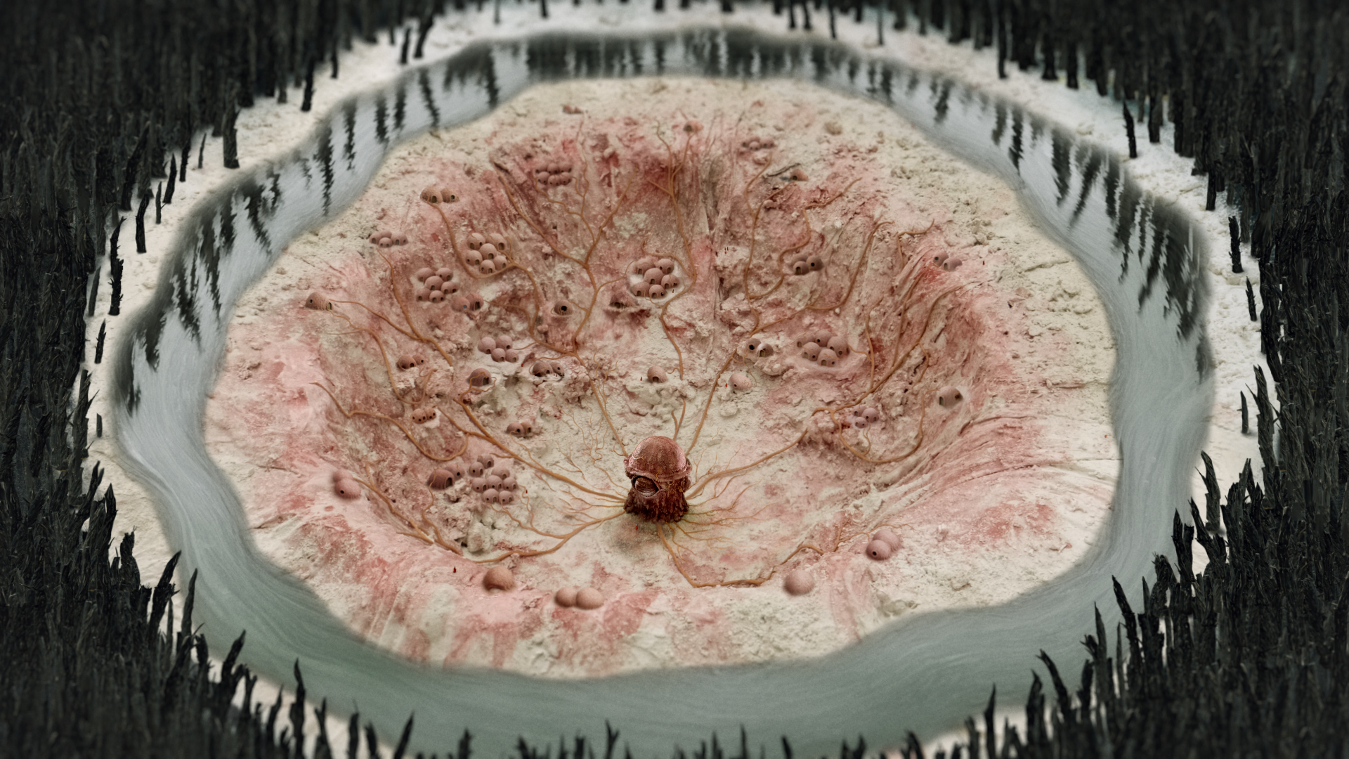 20251128_Everblind - EDIT.00_14_53_14.Still059.png