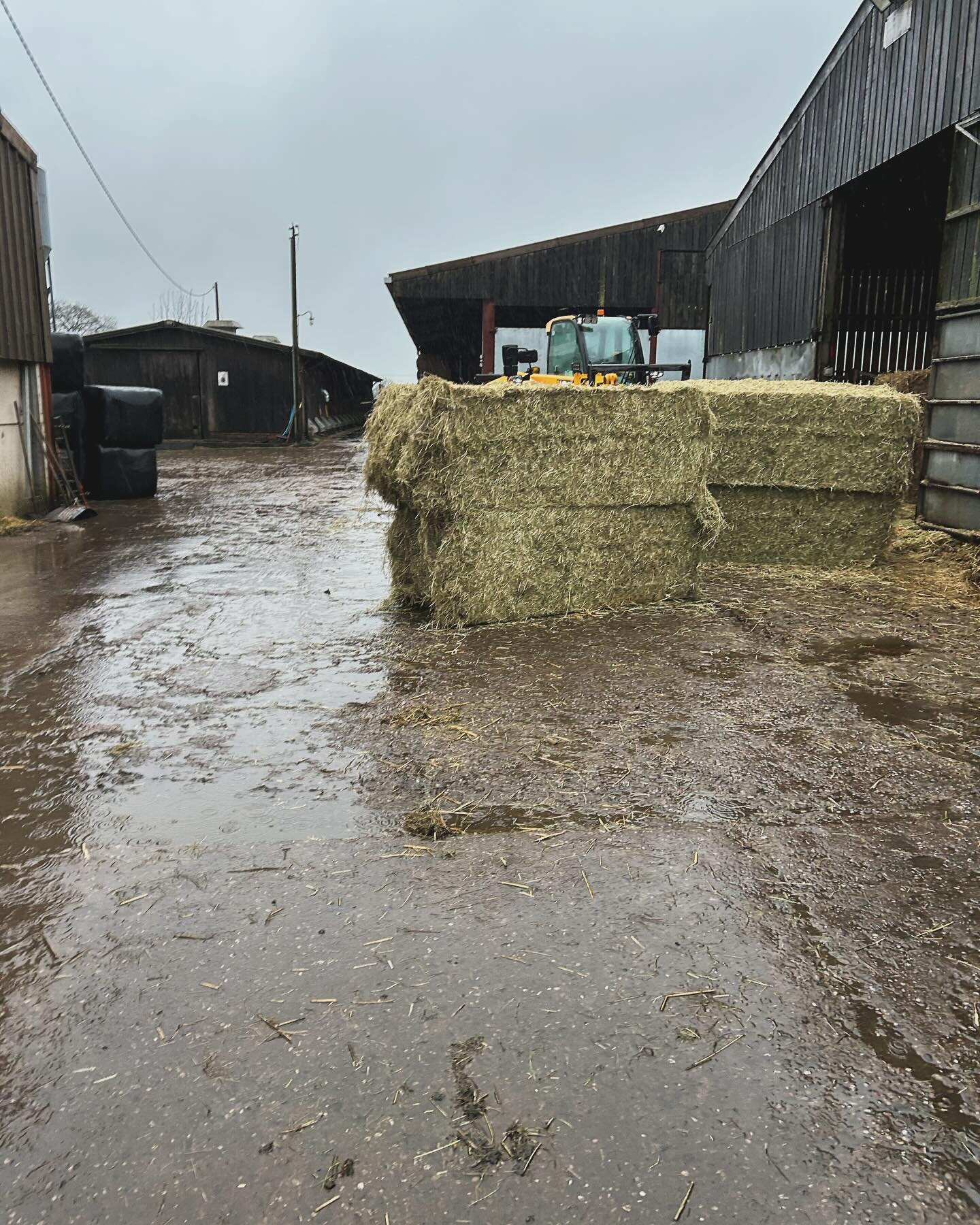 A few photos from last week, definitely get to work is some stage place, on the plus side the bread from one of my customers was amazing check them out and she will deliver it directly to your door.