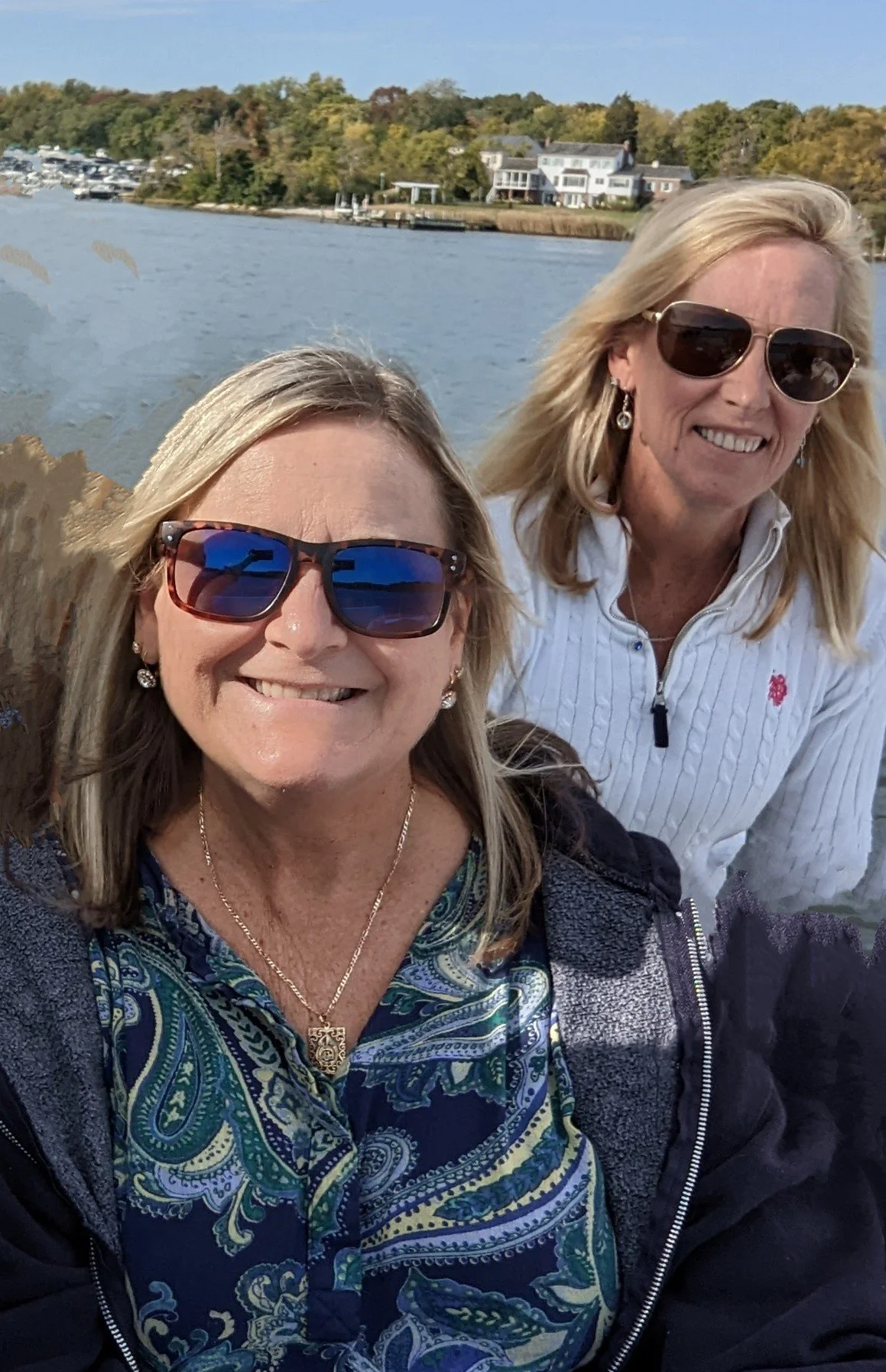 Dog Training Annapolis — Always Faithful Dog Training