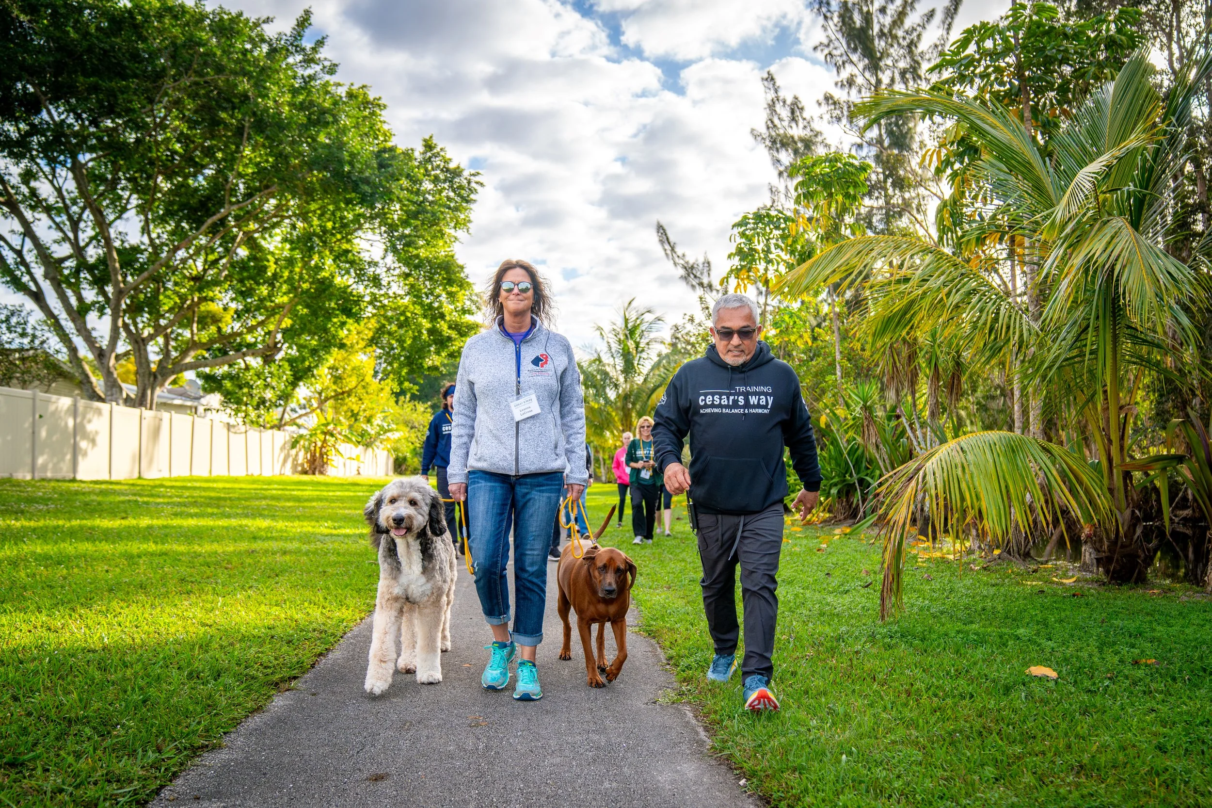 Northern Michigan — Always Faithful Dog Training