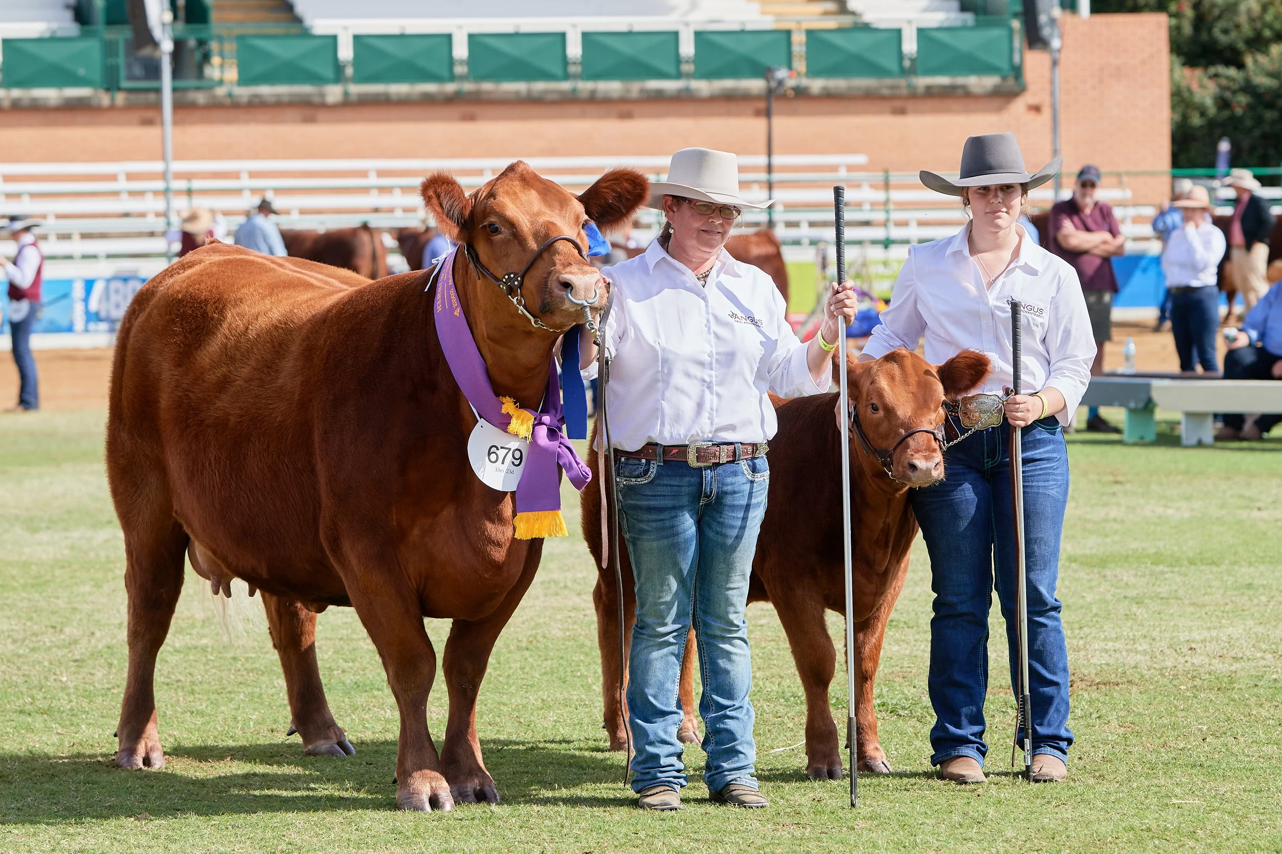 Ekka22_048.jpg