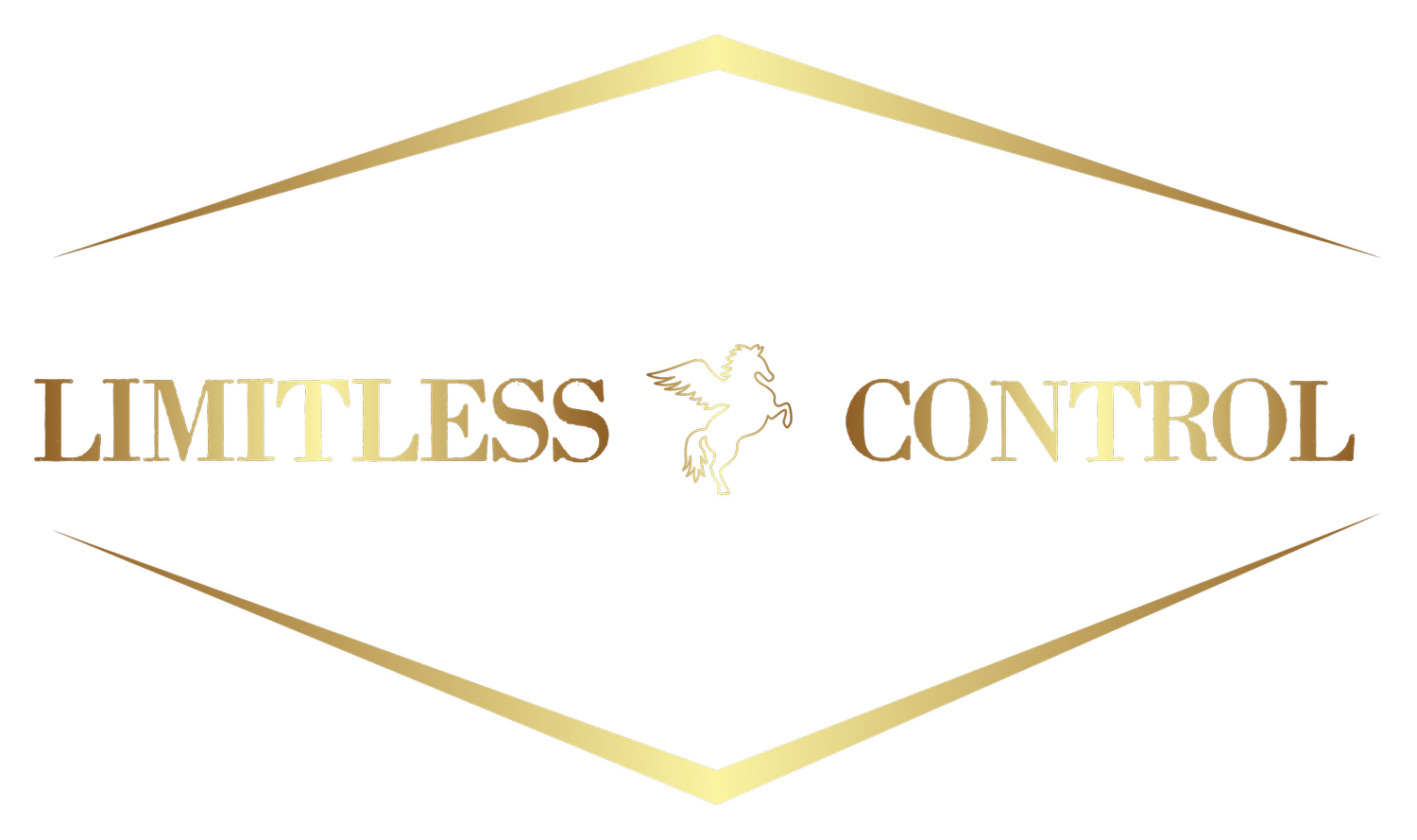 Limitless Control - Close Protection Security Services