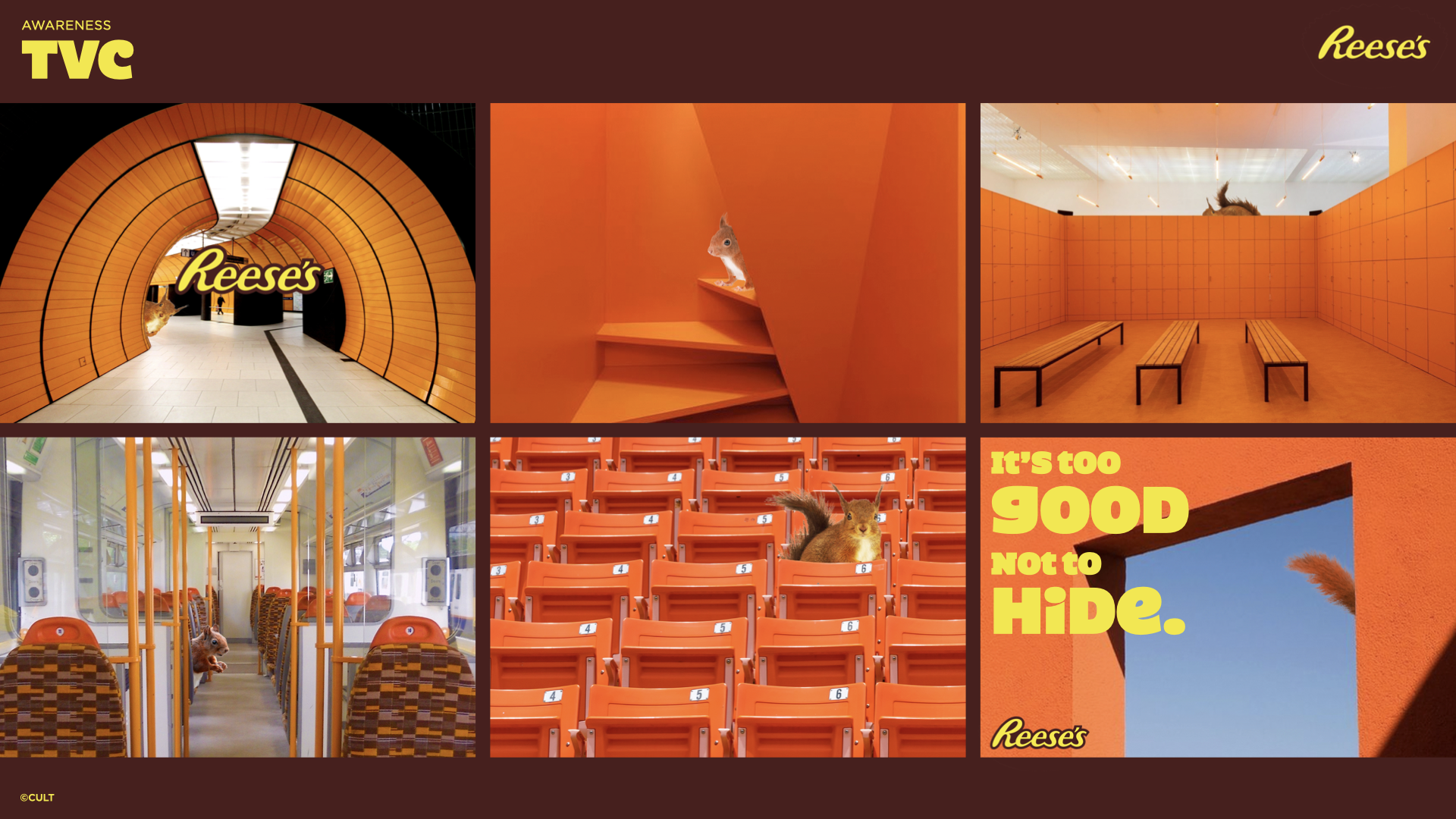 Reeses For CM.019.png