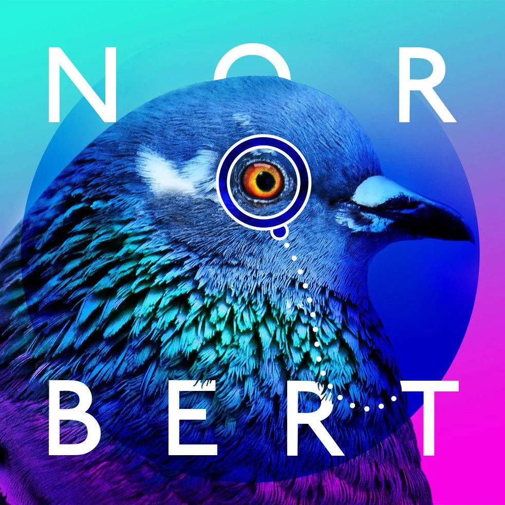 norbert.jpg
